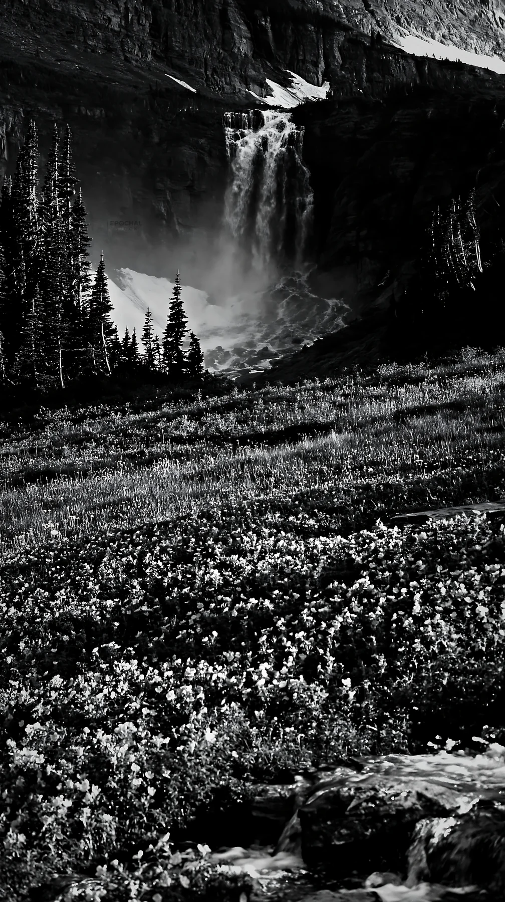 Wild rose meadow below waterfall in black and white - AI-generated stock image