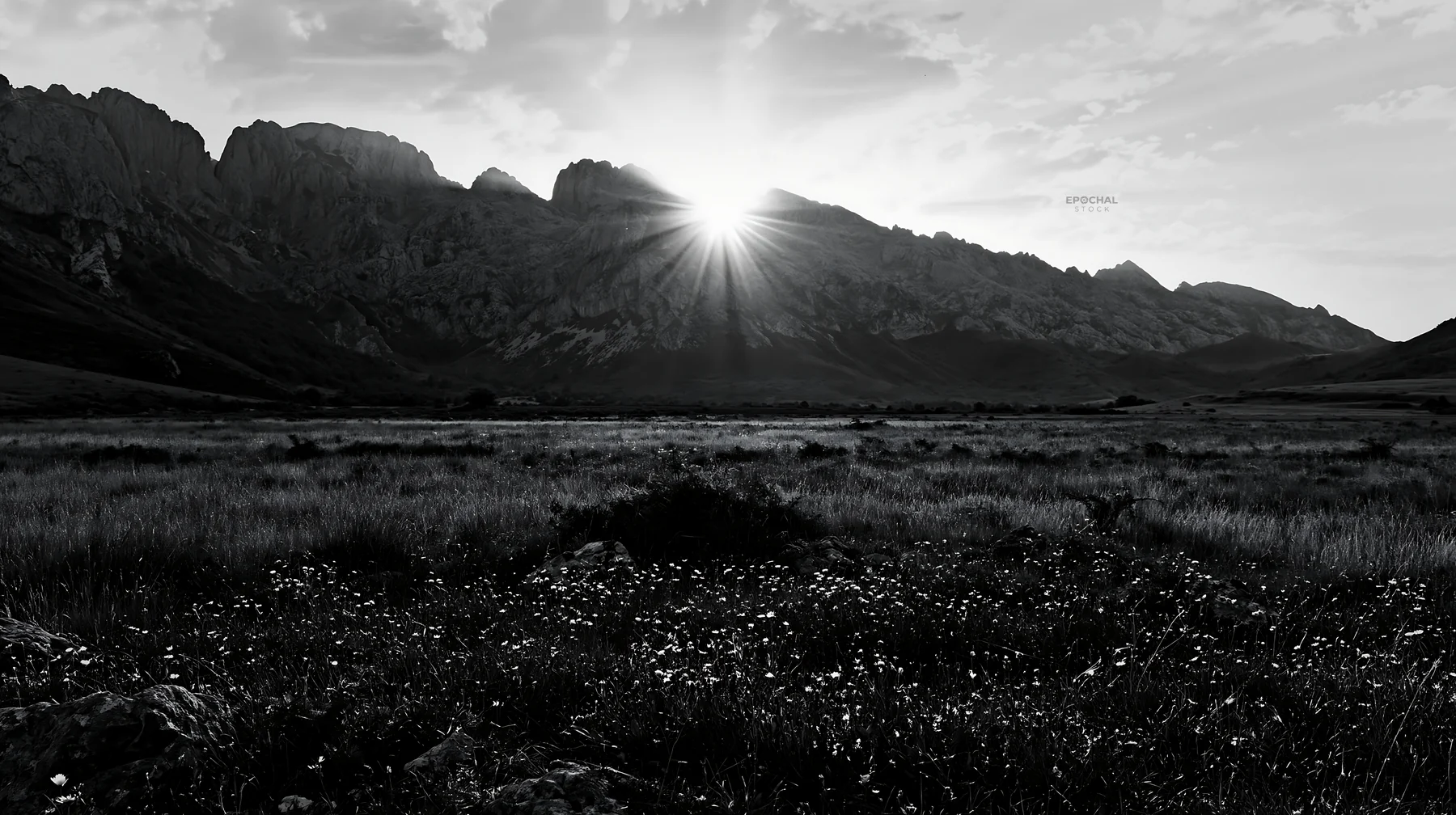 Sun rays highlight Picos de Europa meadow at sunset - AI-generated stock image
