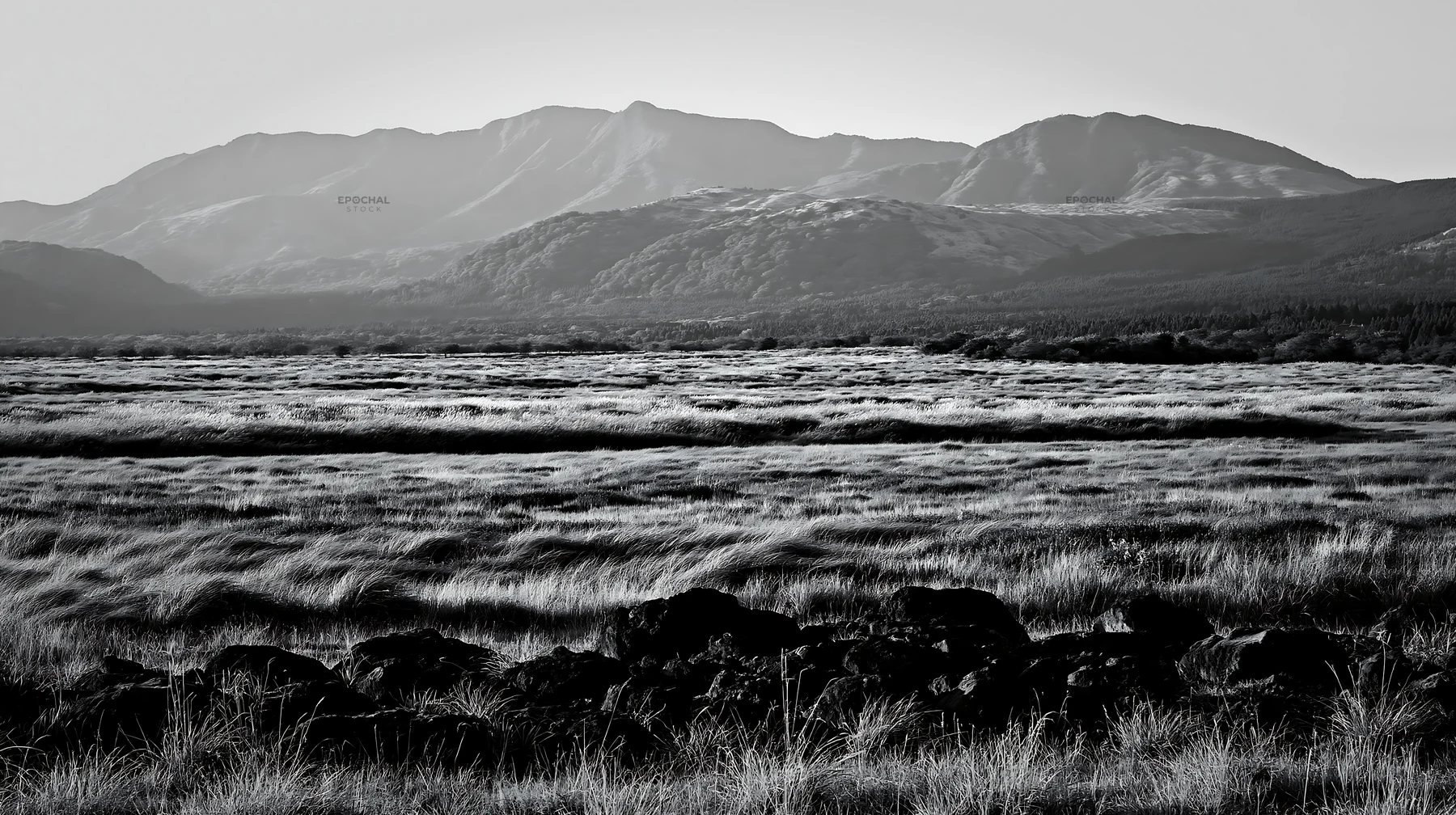 Kumamoto volcanic meadow with dark rock foreground - AI-generated stock image