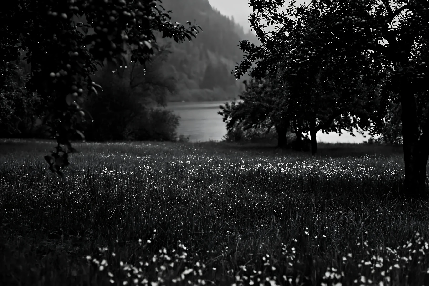 Lakeside orchard meadow with trees and flowers in black and white - AI-generated stock image