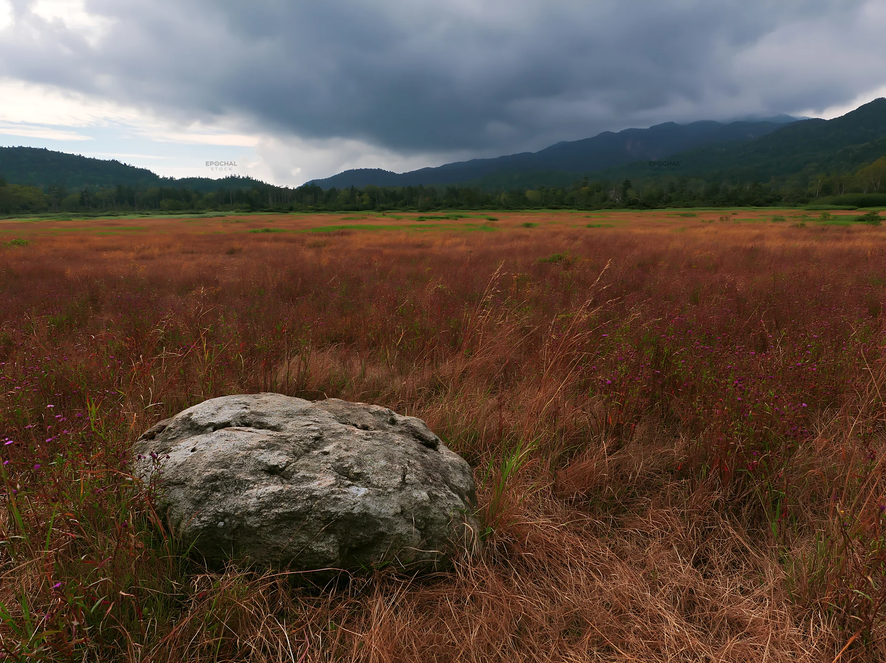 Nagano drought resilient meadow granite boulder with landscape views - AI-generated stock image