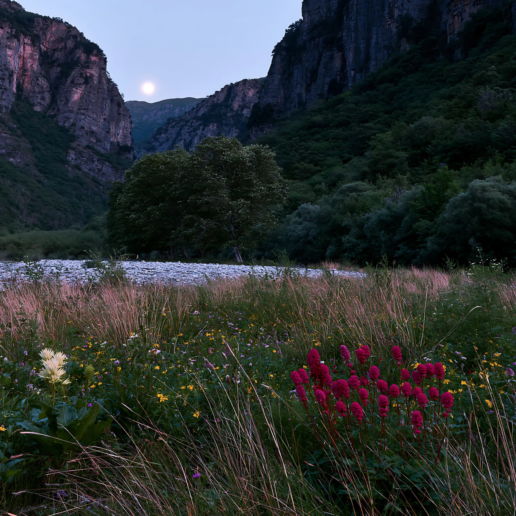 Moonlit meadow with flowers near mountains at dusk - AI-generated stock image