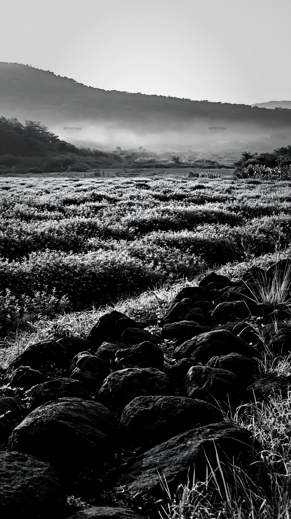 Kanagawa volcanic stones in a resilient meadow landscape - AI-generated stock image