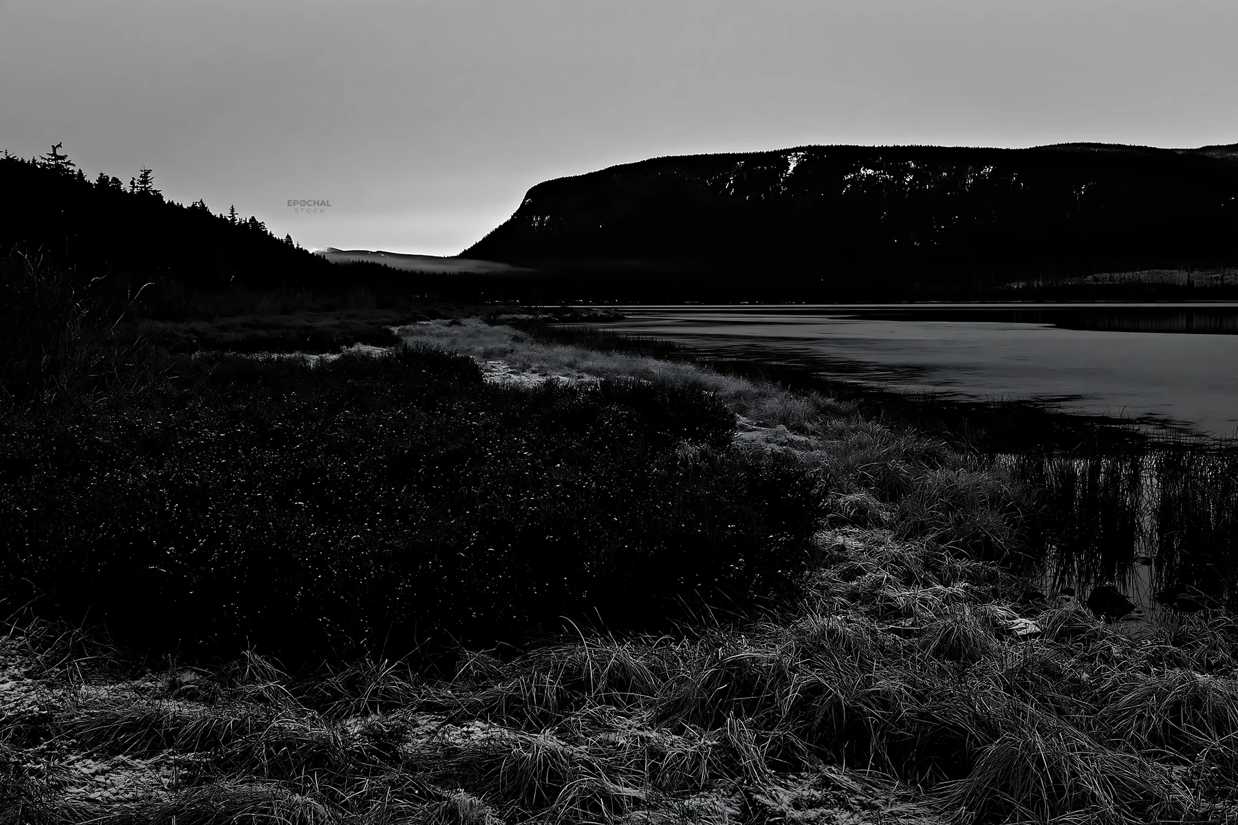 Lakeside meadow after first snowfall in black and white - AI-generated stock image
