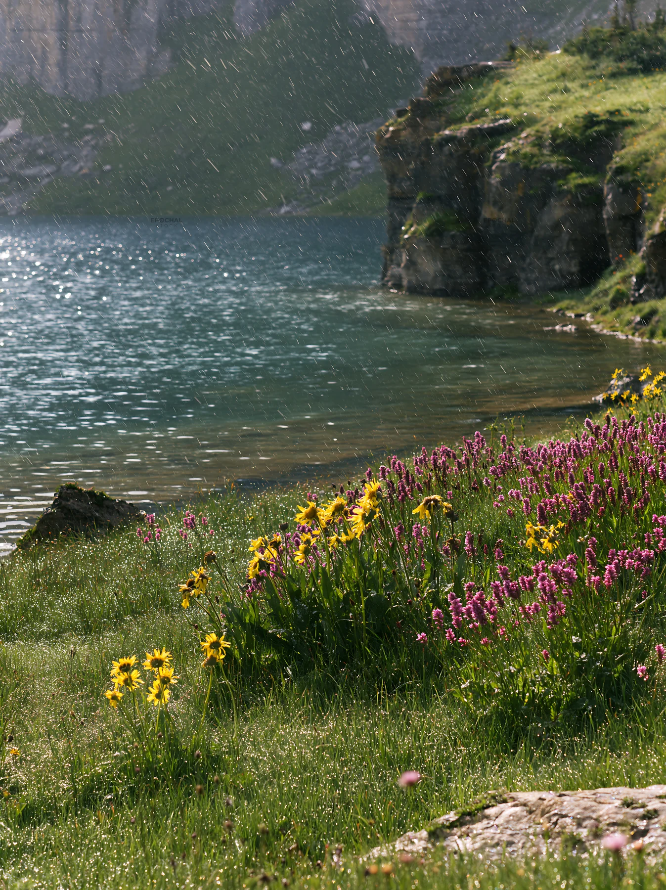 Snowy lakeside meadow with flowers and water reflection - AI-generated stock image