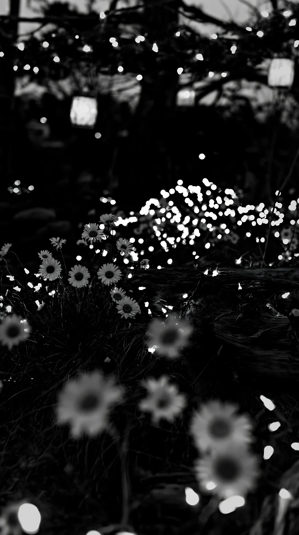 Expansive Christmas meadow with white daisies and lights - AI-generated stock image