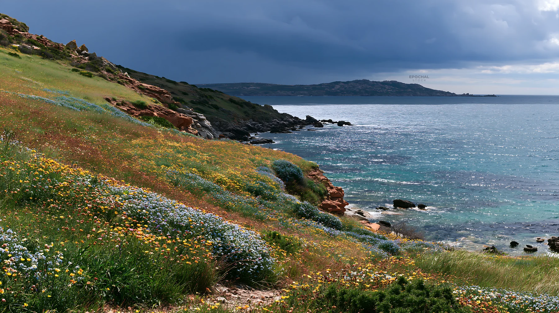 Italian meadow along rocky coast with blooming flowers - AI-generated stock image
