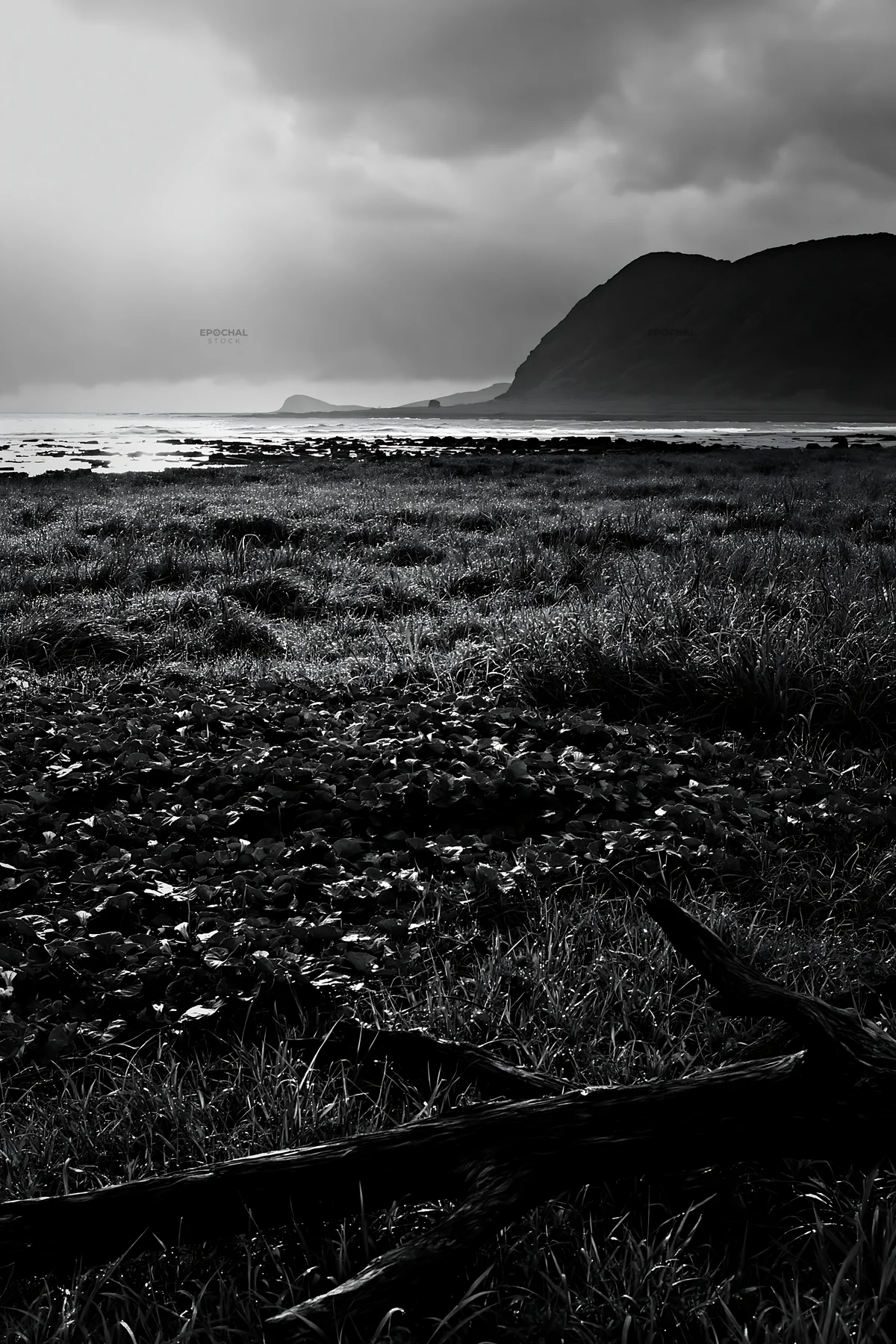 Black and white nagasaki coastal meadow driftwood foreground mood - AI-generated stock image