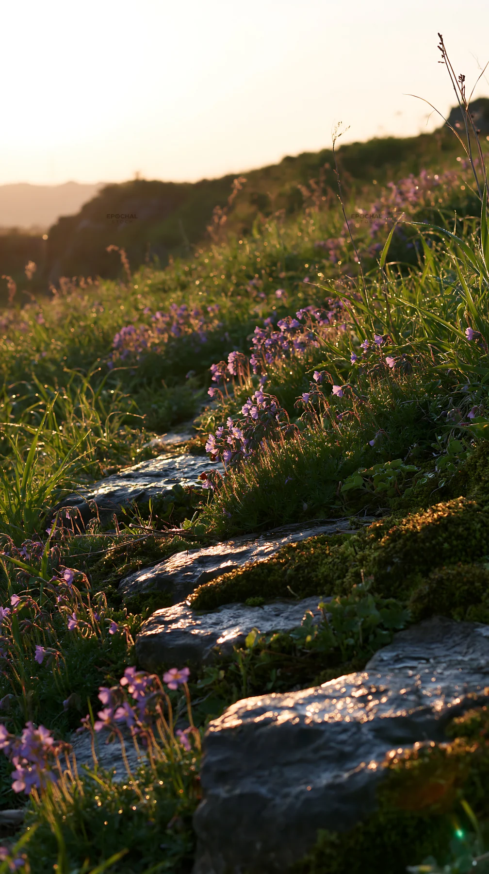 Miyagi spring recovery meadow mossy stone with flowers - AI-generated stock image