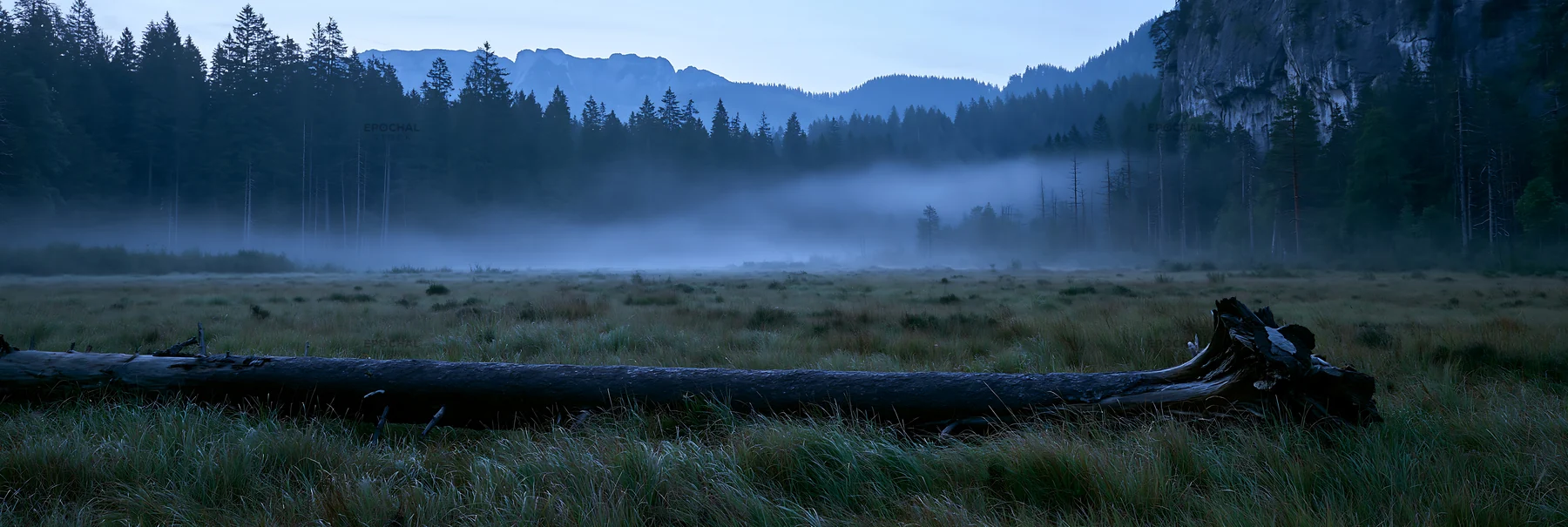 Weathered log meadow in misty morning light - AI-generated stock image