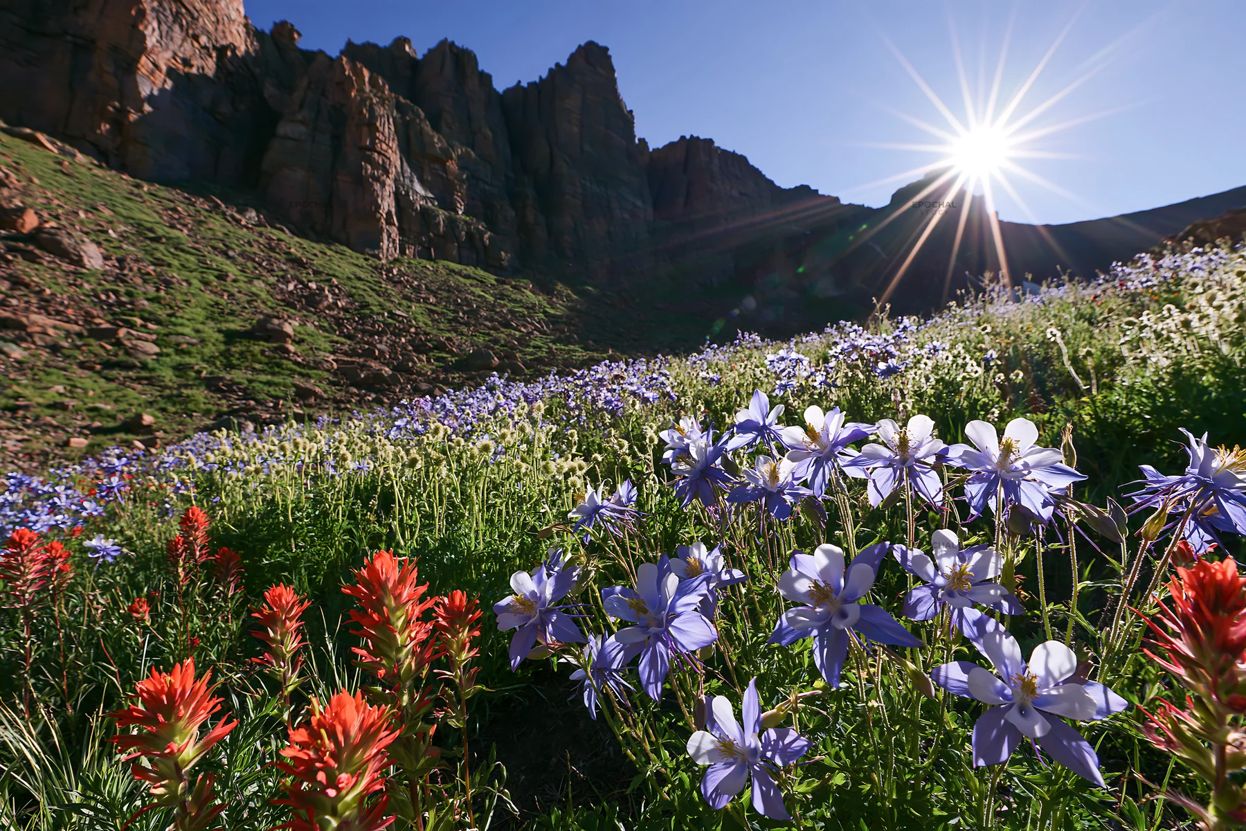 Meadow blooms under crags with sun shining brightly - AI-generated stock image