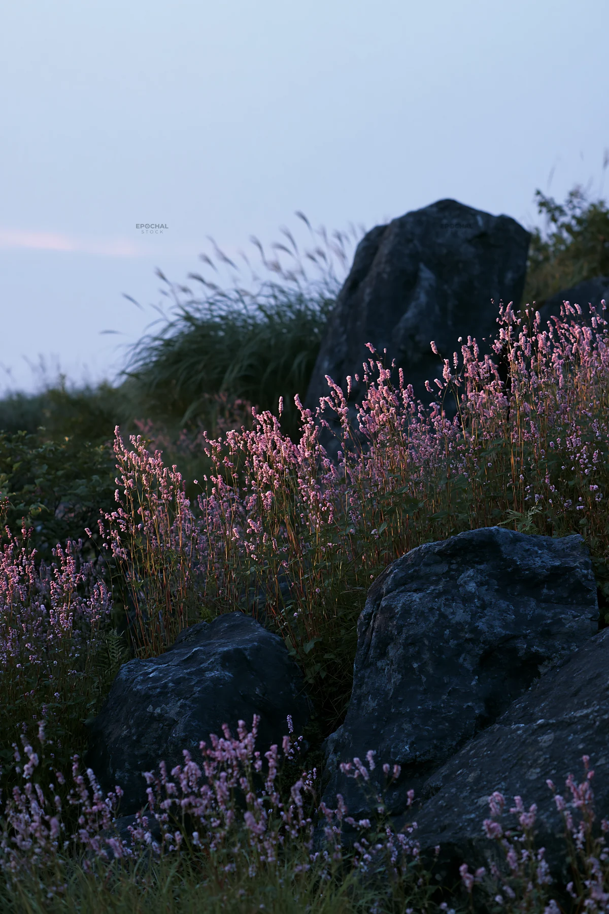 Oita highland meadow with granite stones at dusk - AI-generated stock image