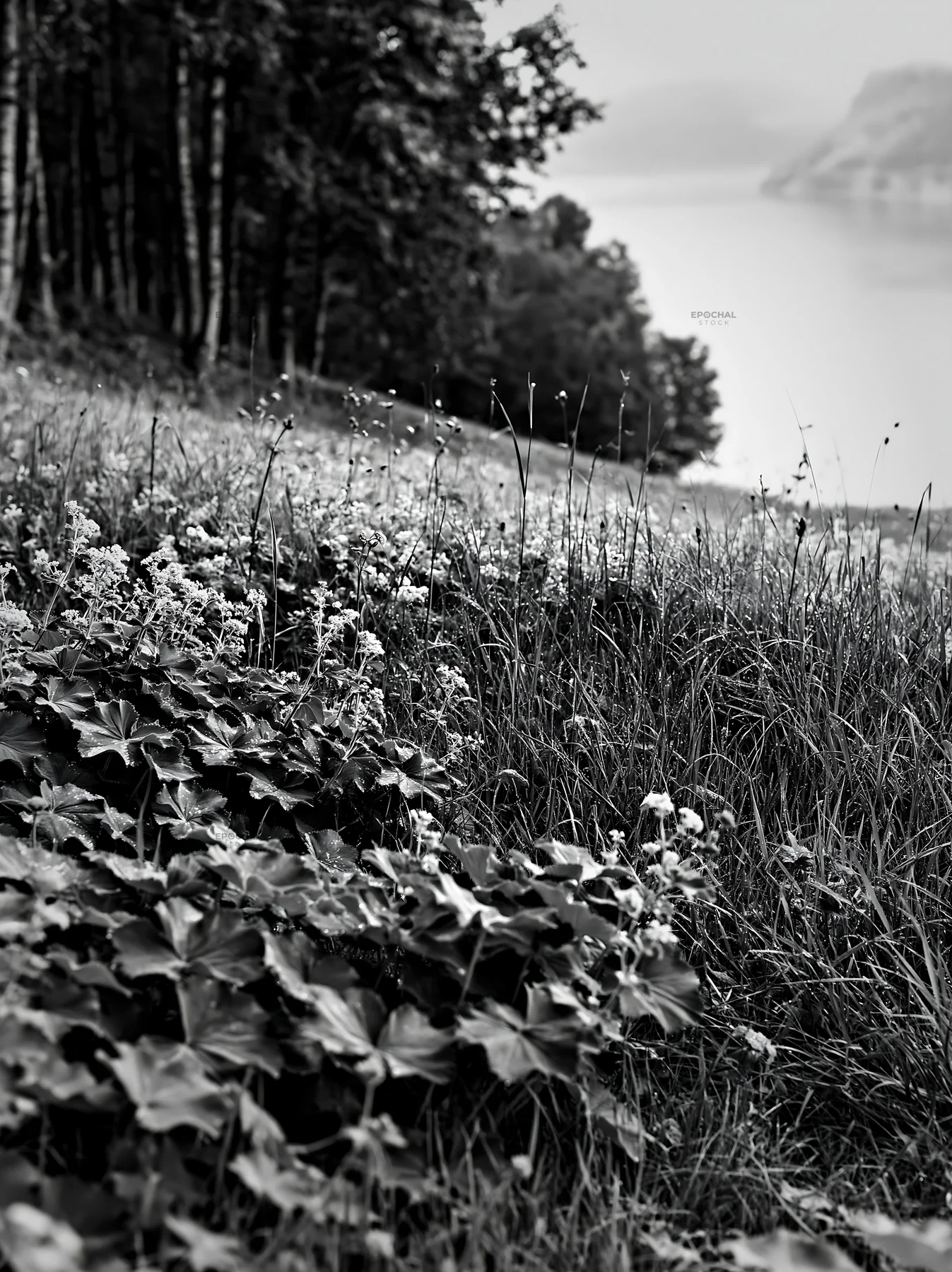Fjord meadow with wildflowers and water view - AI-generated stock image