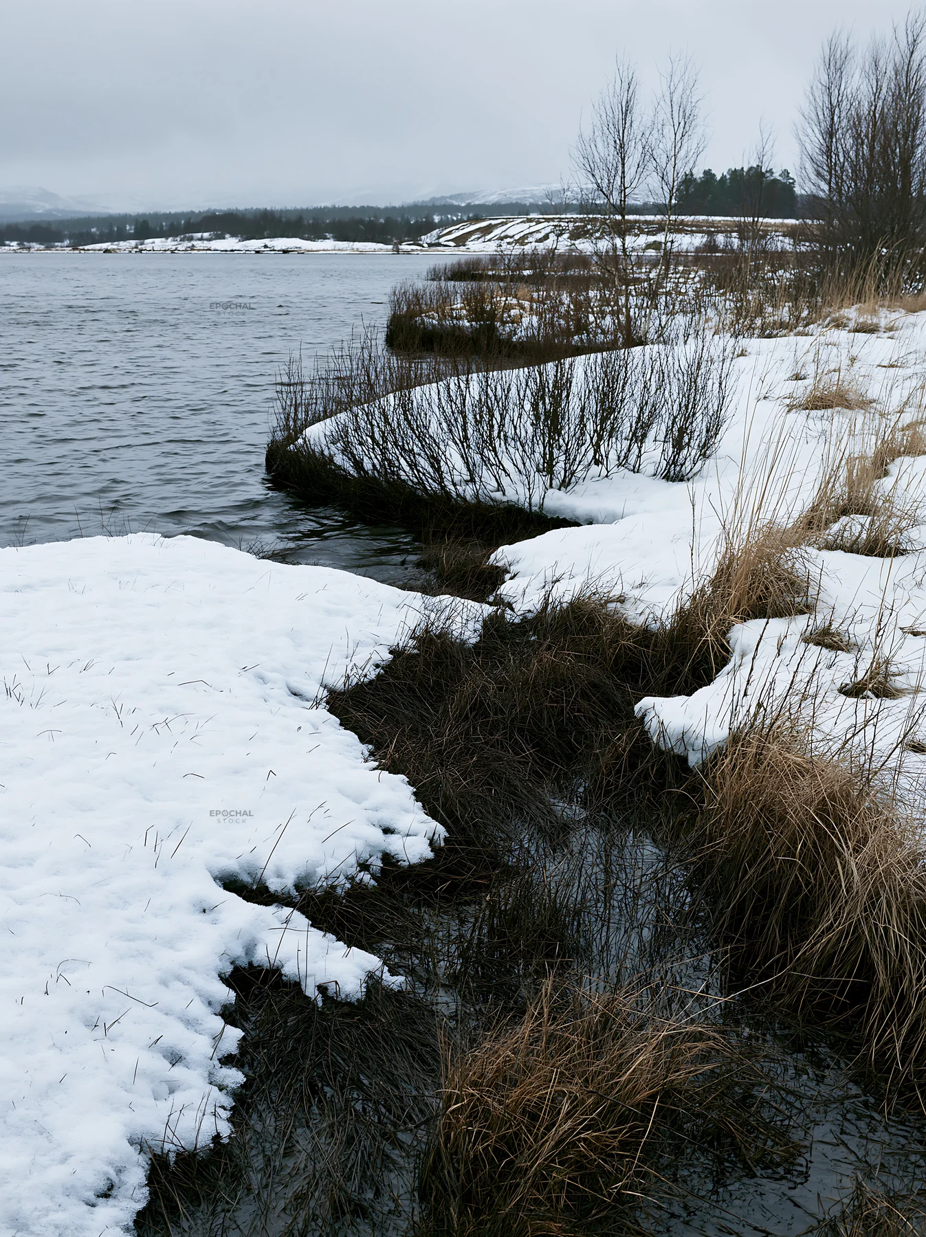 Lakeside meadow covered in snow beside flowing water - AI-generated stock image