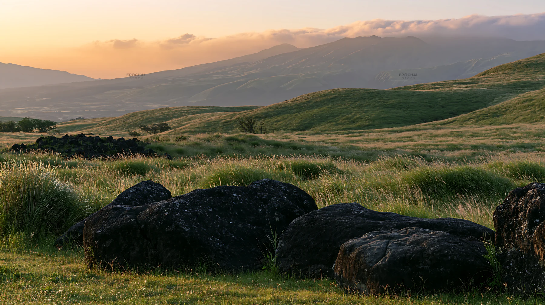 Restored Kumamoto silver grass meadow boulders at sunset - AI-generated stock image