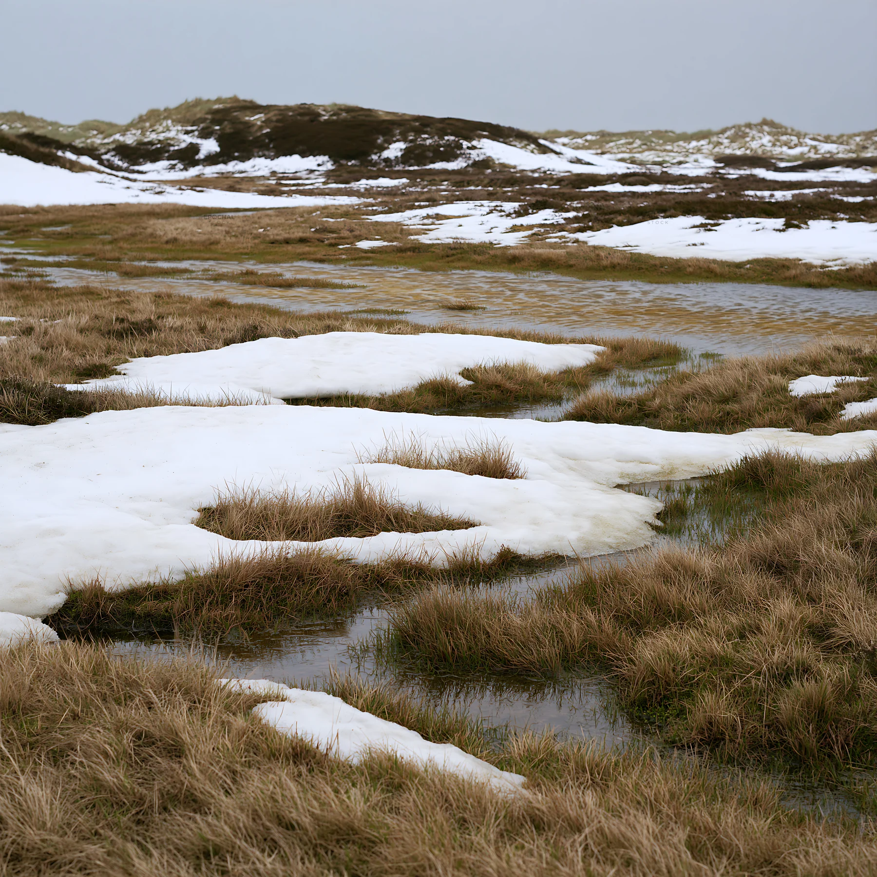Dune meadow covered in snow with patches of water visible - AI-generated stock image