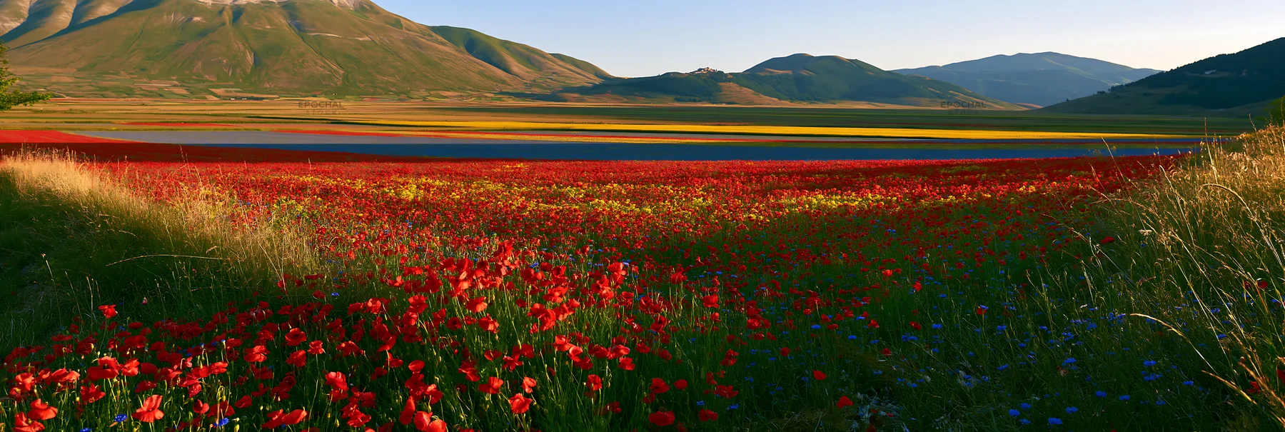 Colorful poppy meadow with mountains and lake at sunset - AI-generated stock image
