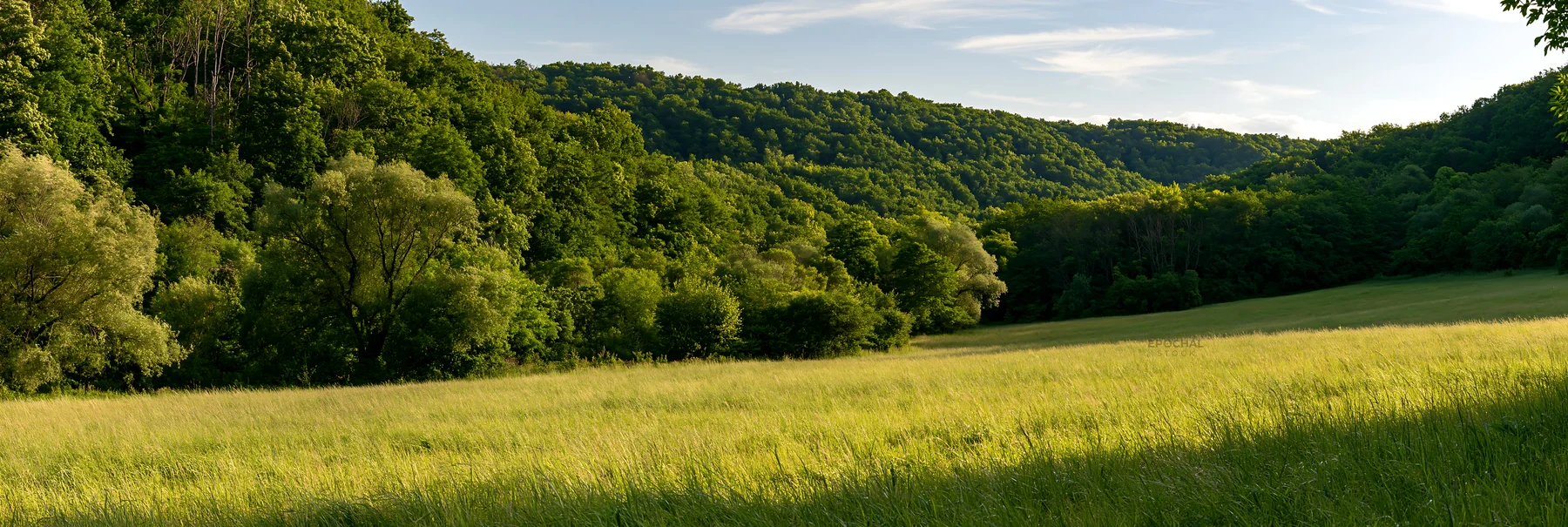 Hungarian meadow along wooded valley in daylight - AI-generated stock image