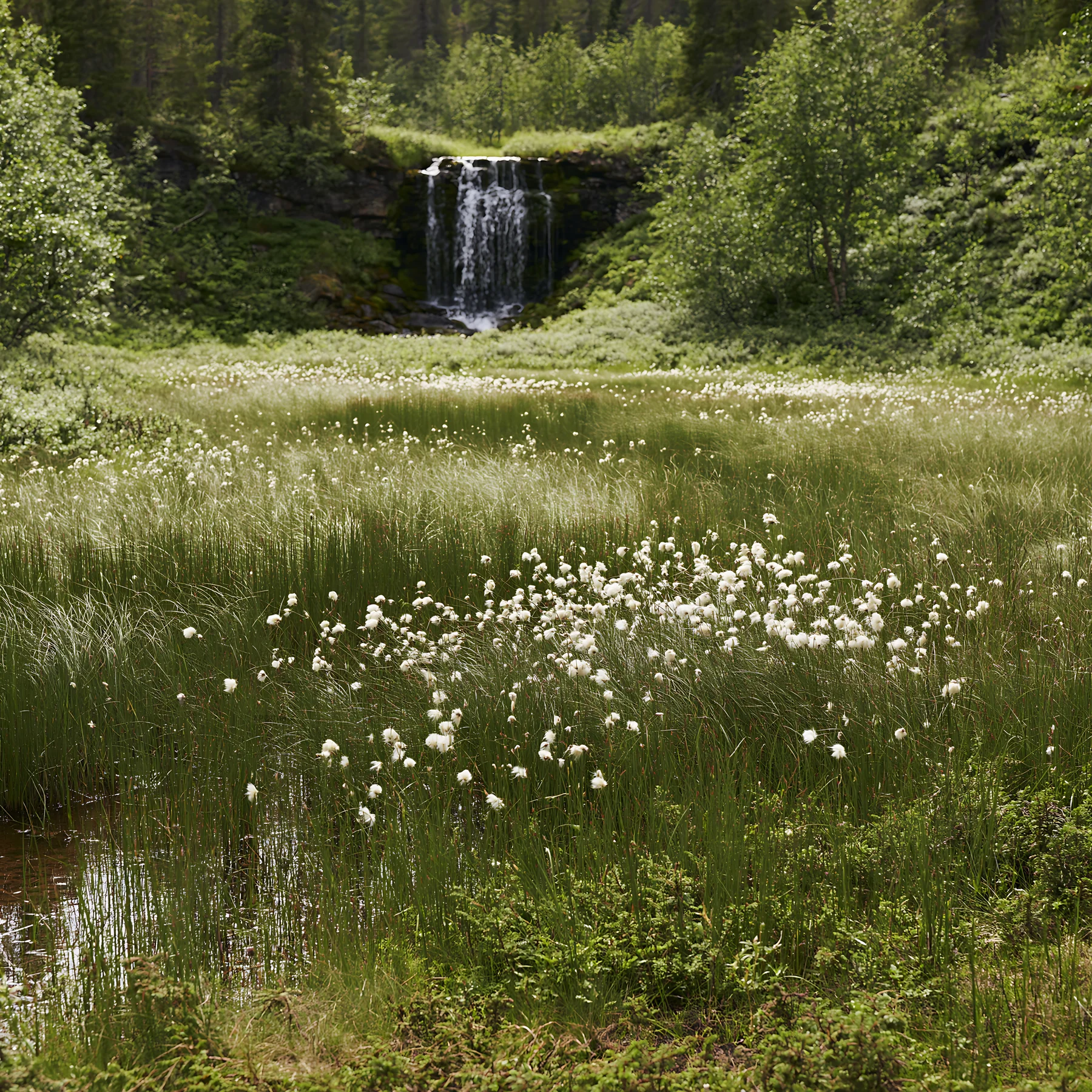 Meadow beneath waterfall with plants and water - AI-generated stock image