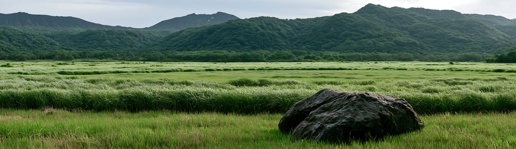 Meadow landscape with boulder in Aomori region - AI-generated stock image