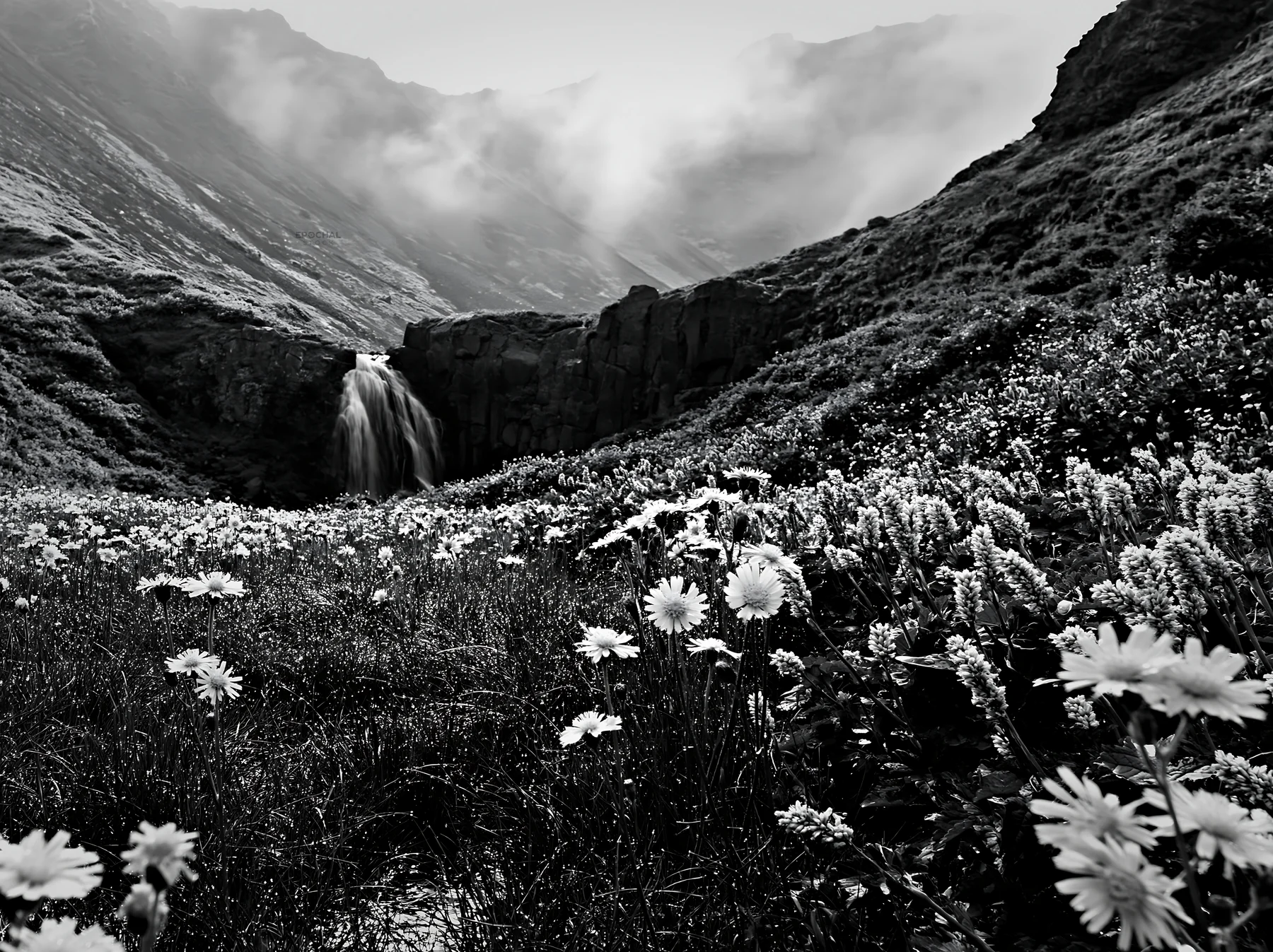 Misty mountain waterfall in meadow with flowers - AI-generated stock image