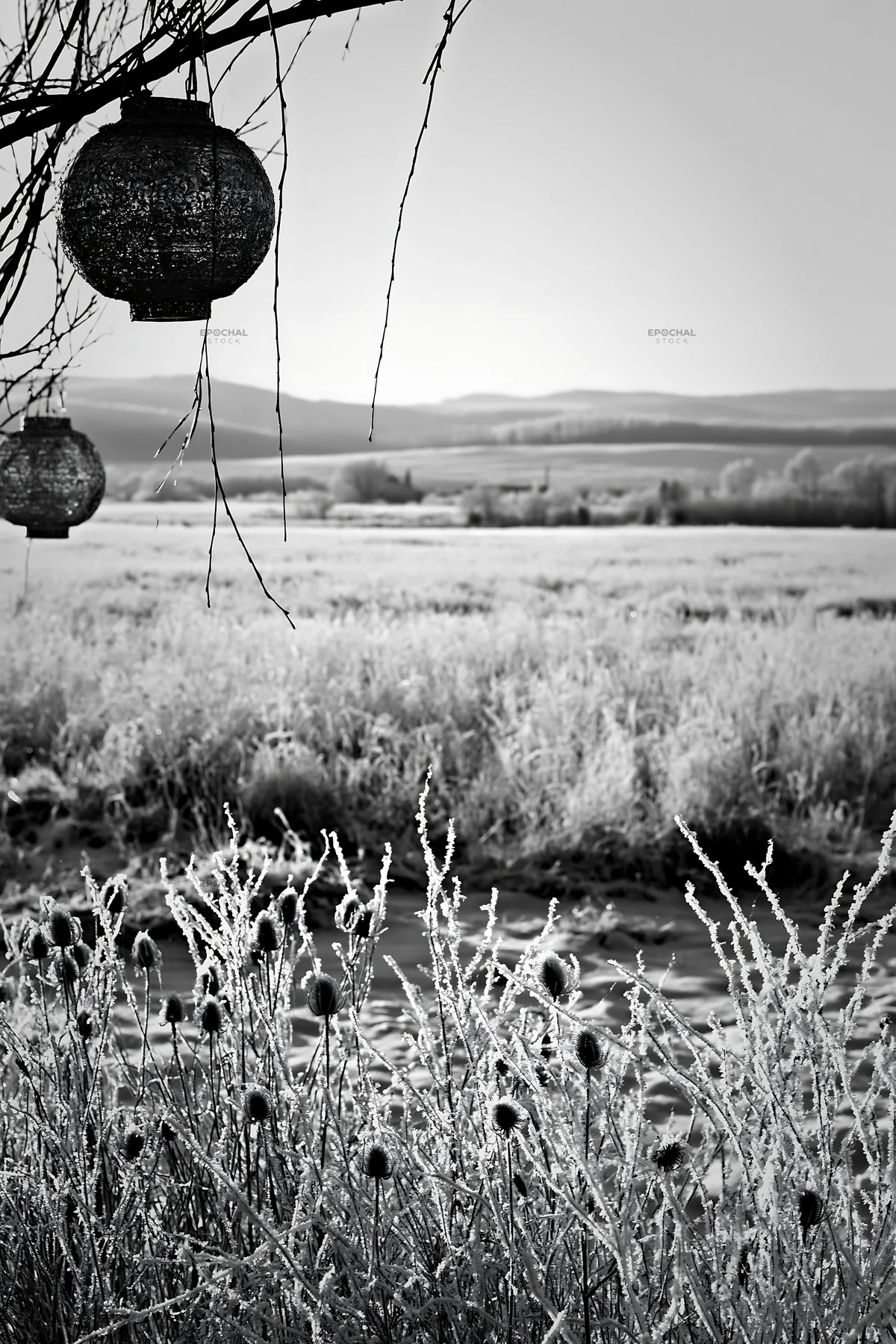Frosted meadow with lanterns and seedheads in winter - AI-generated stock image