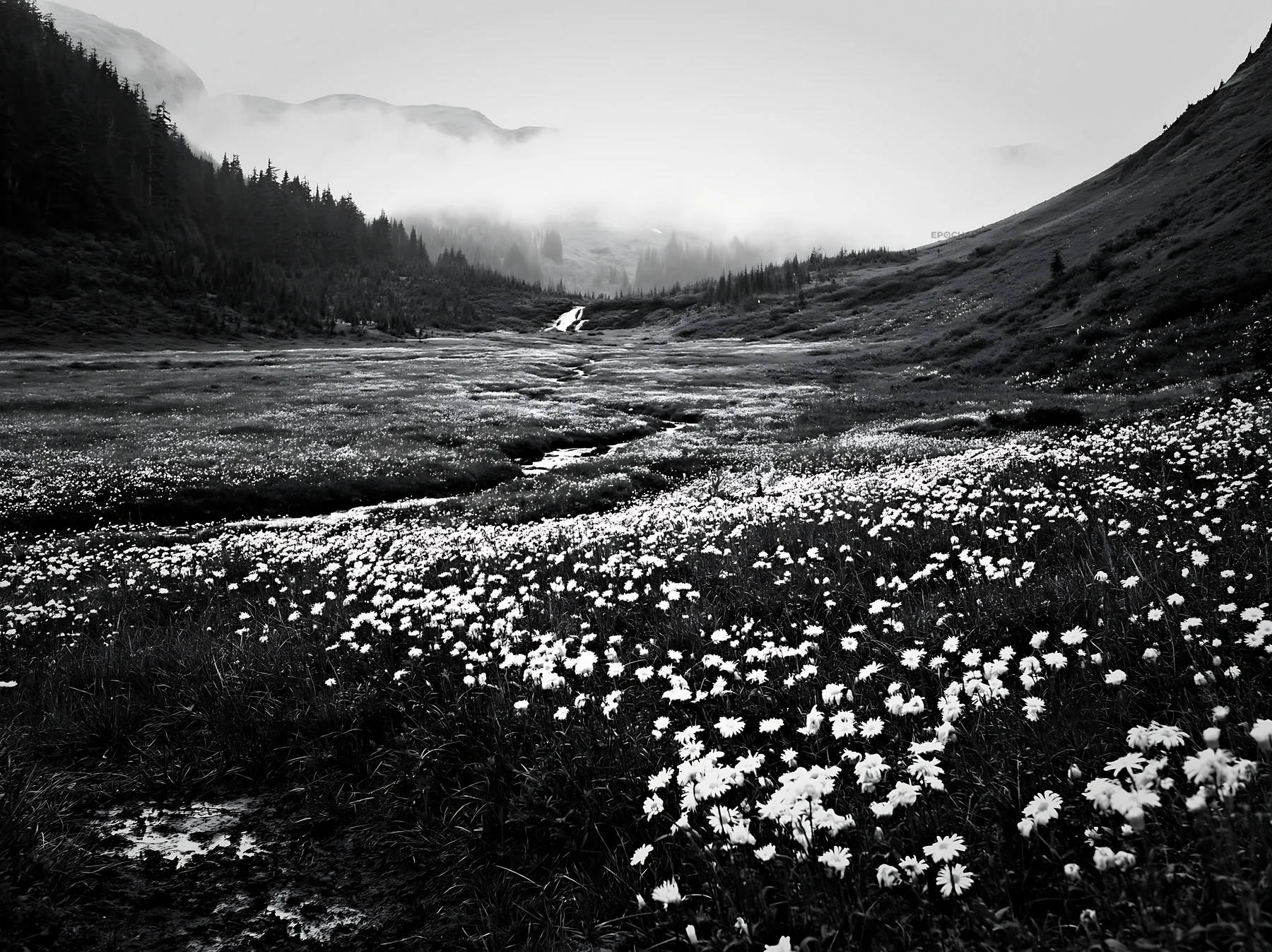 Misty mountain waterfall in a meadow with wildflowers - AI-generated stock image