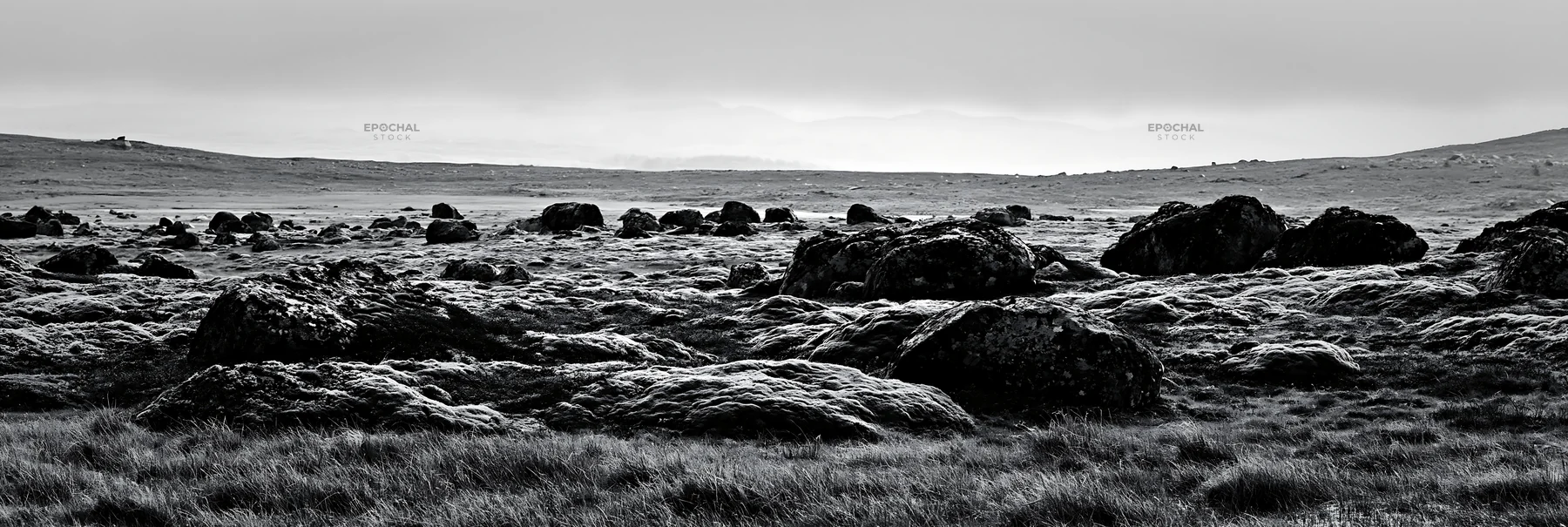 Mossy boulders in a meadow under overcast skies - AI-generated stock image
