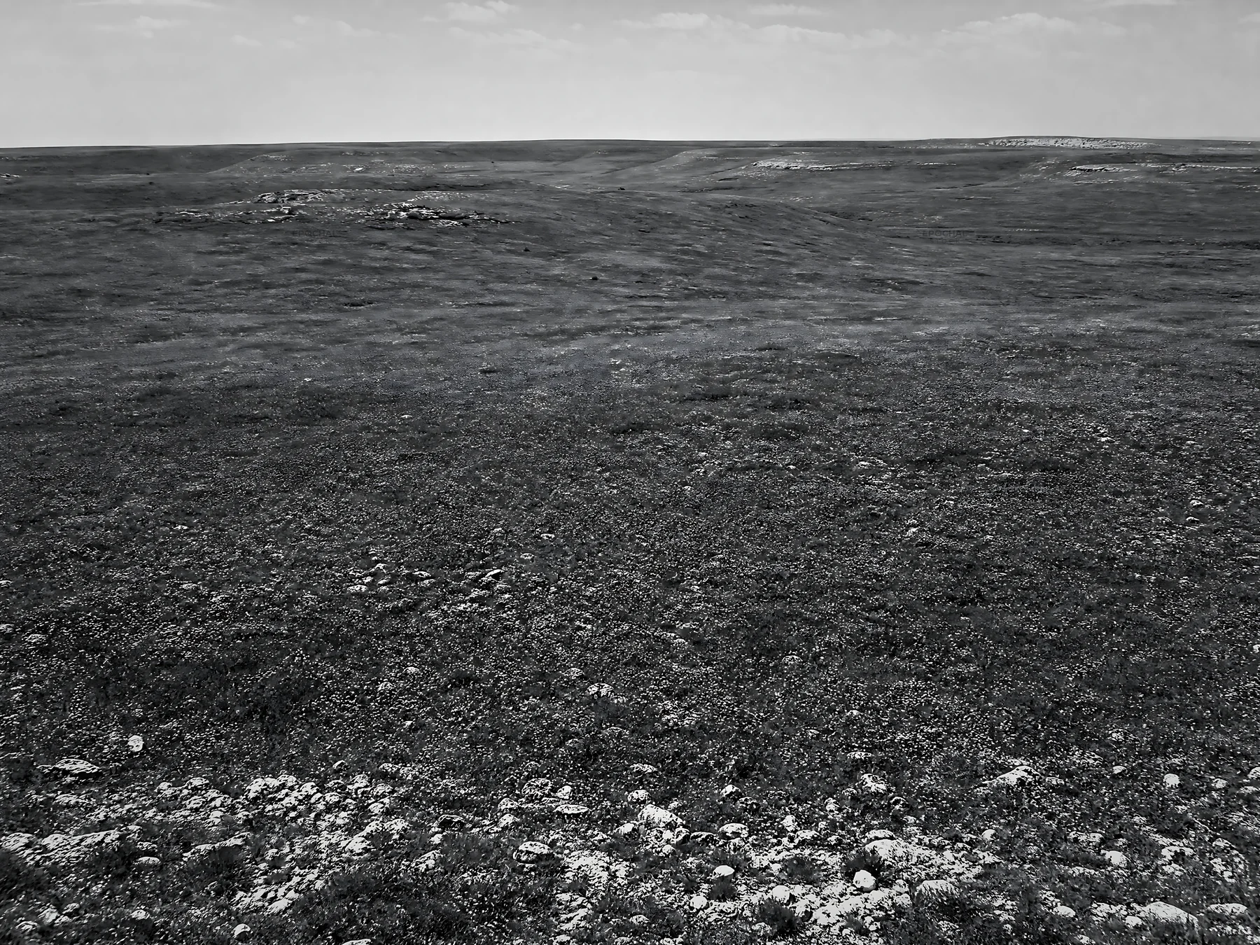 Sunny chalk meadow landscape with sparse vegetation - AI-generated stock image