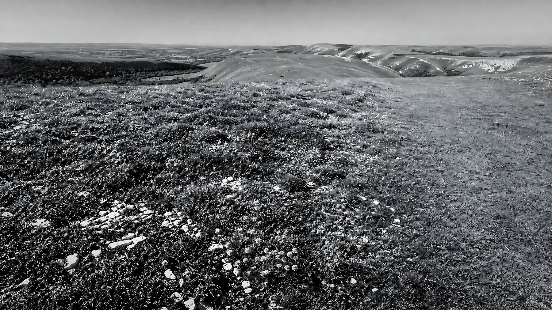 Chalk meadow landscape under clear sunny sky - AI-generated stock image