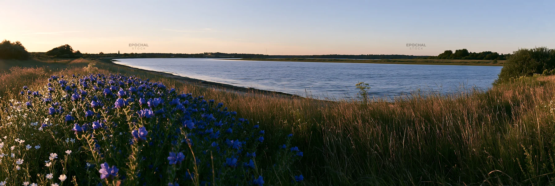 Lakeside meadow with wildflowers and calm water at sunset - AI-generated stock image