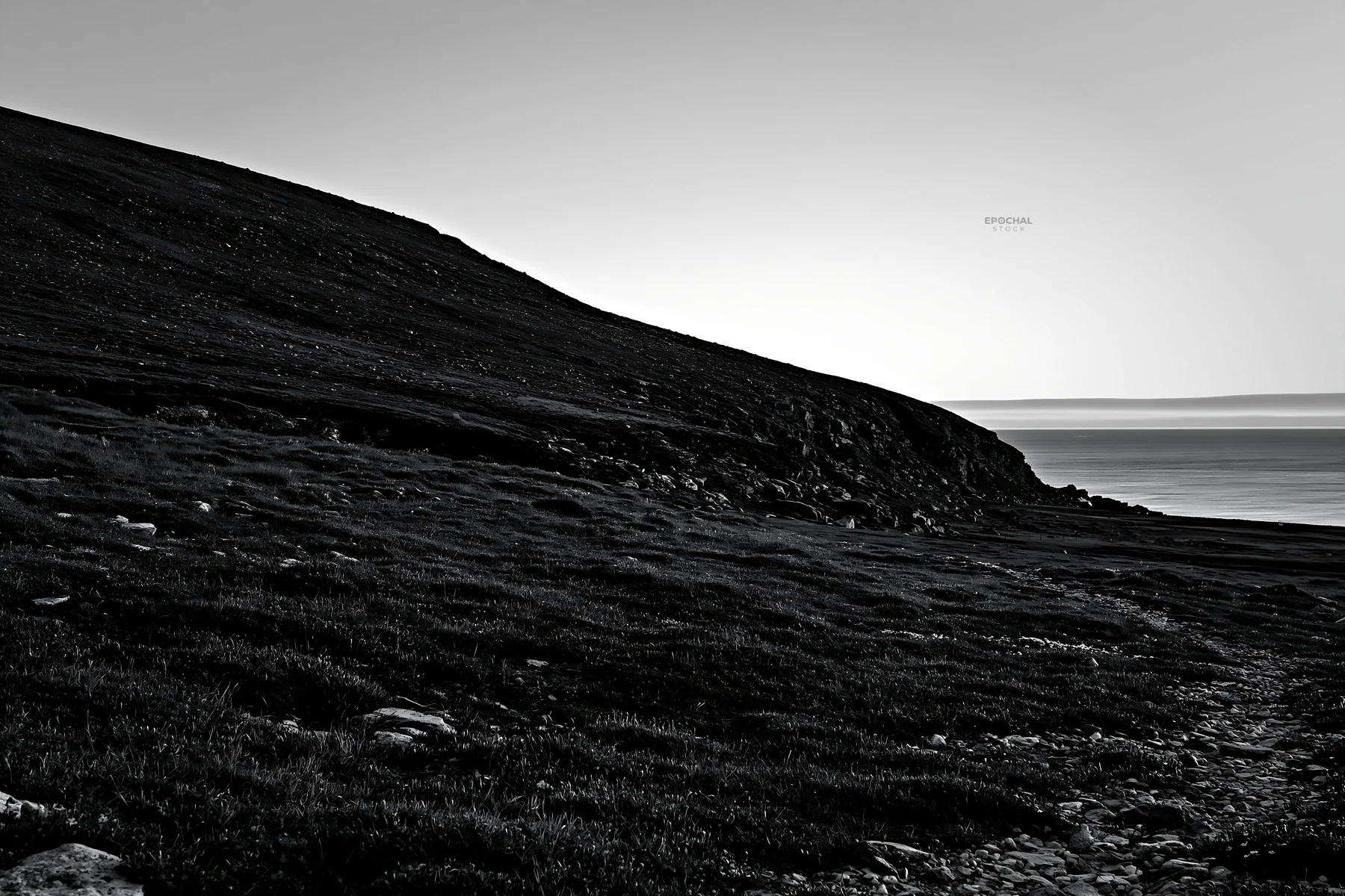 Aurora meadow coast views with rocky shoreline - AI-generated stock image