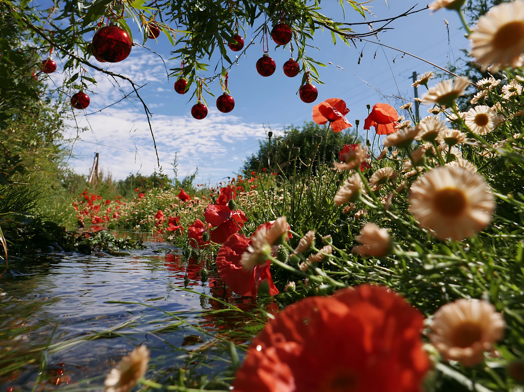 Christmas lights along stream in meadow - AI-generated stock image