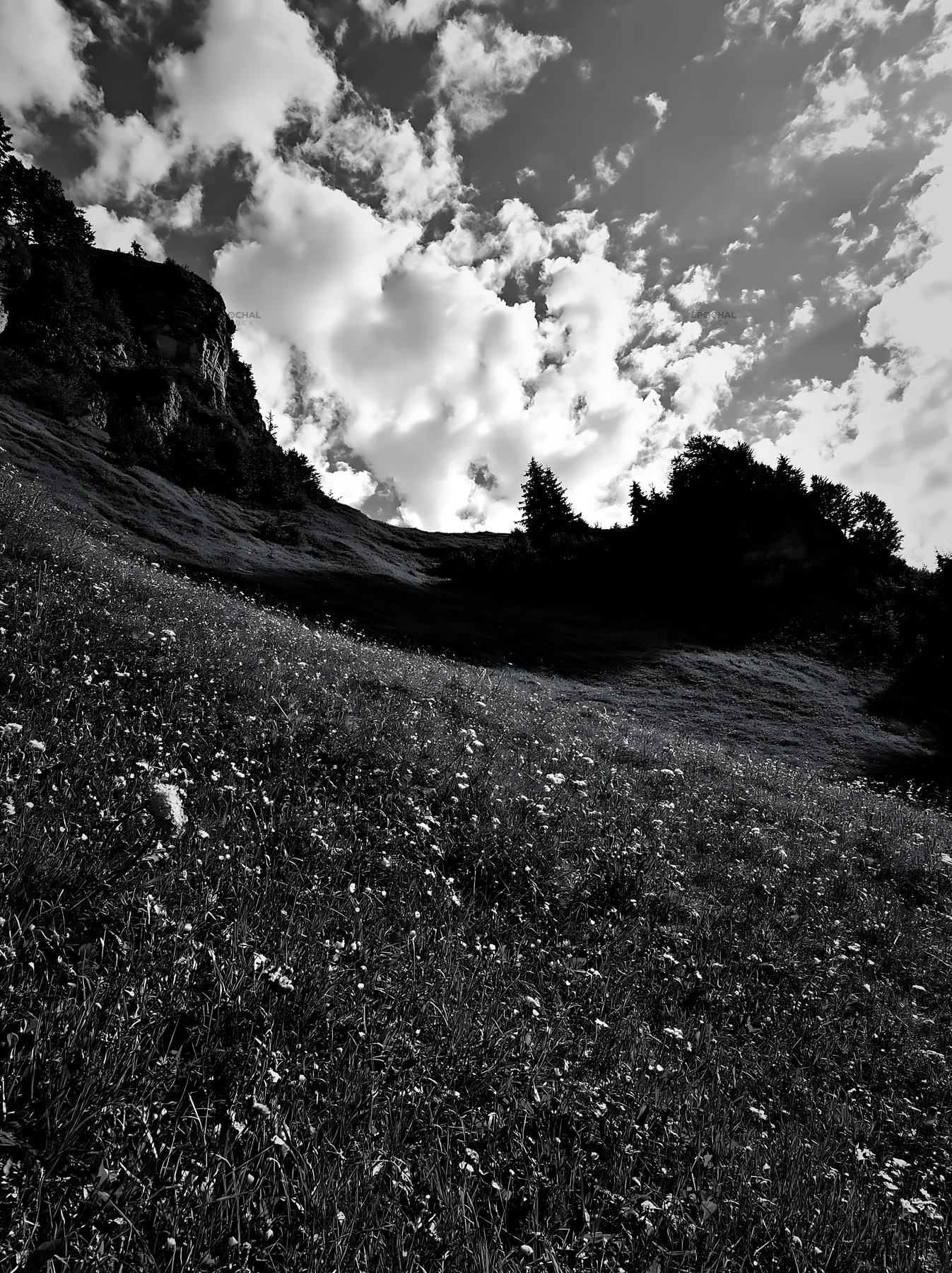 Transylvania summer hay meadow with clouds - AI-generated stock image