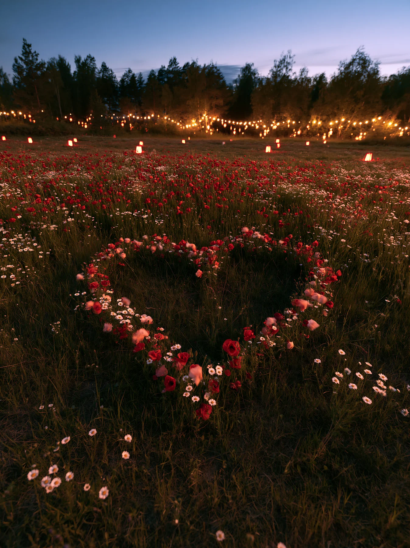Vibrant Christmas lanterns in meadow at twilight - AI-generated stock image