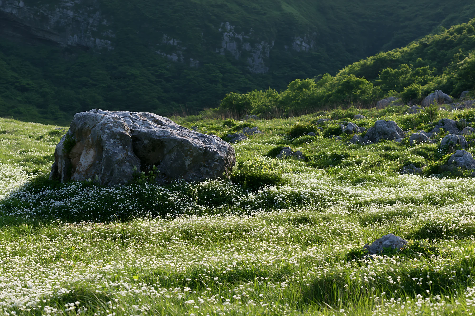 Yamaguchi limestone meadow with pale boulder in daylight - AI-generated stock image