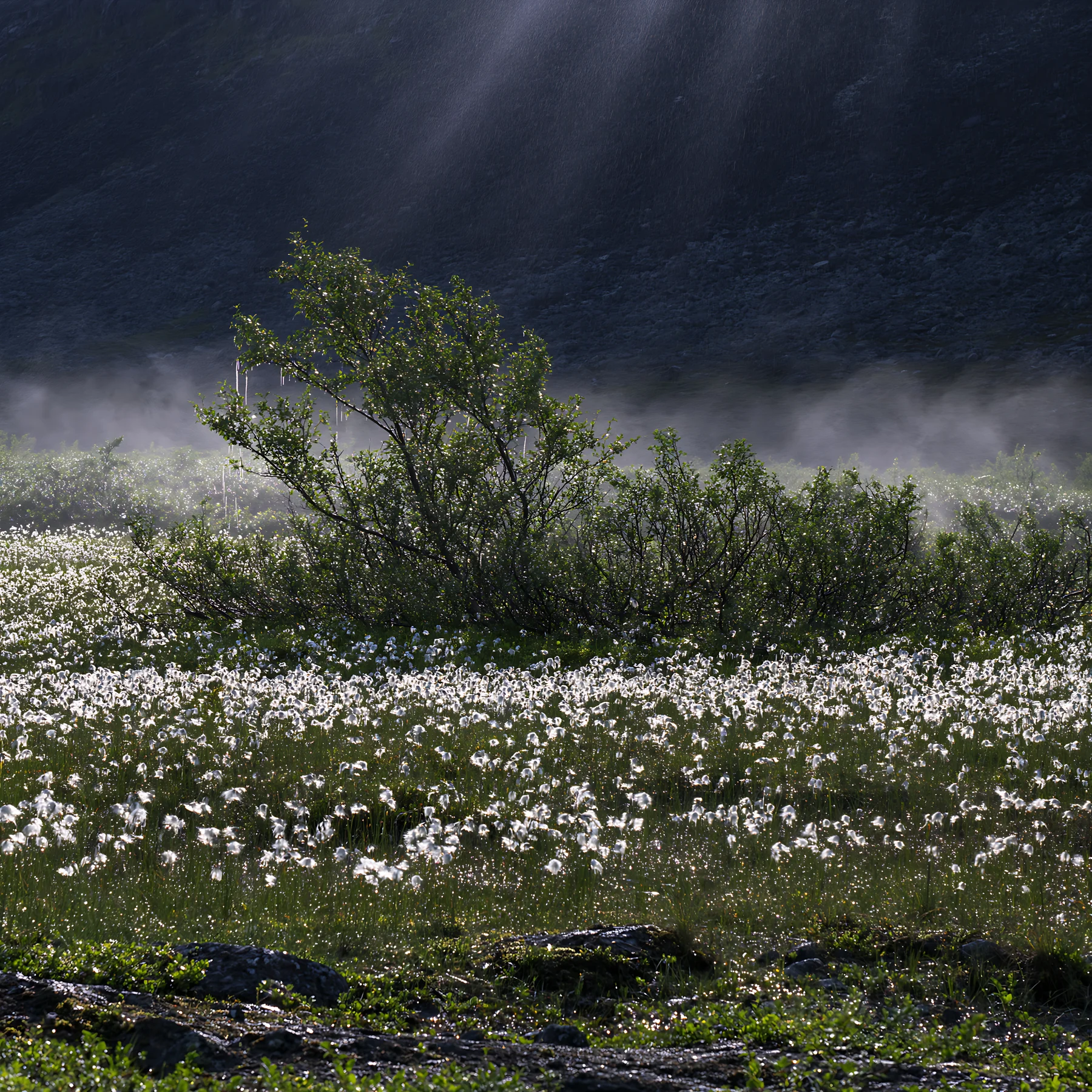 Jotunheimen valley meadow sunbeams create a bright atmosphere - AI-generated stock image