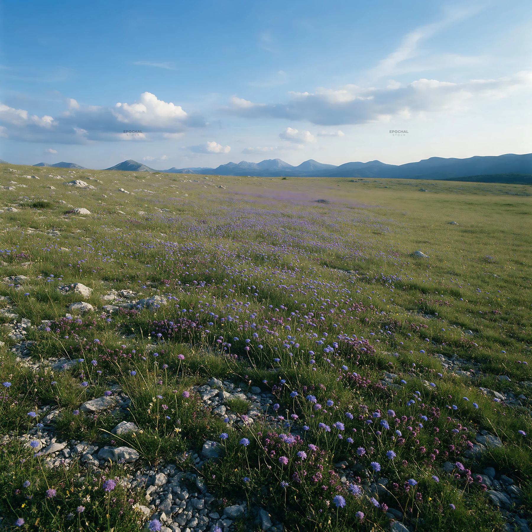 Sunny limestone meadow with distant mountains in clear weather - AI-generated stock image