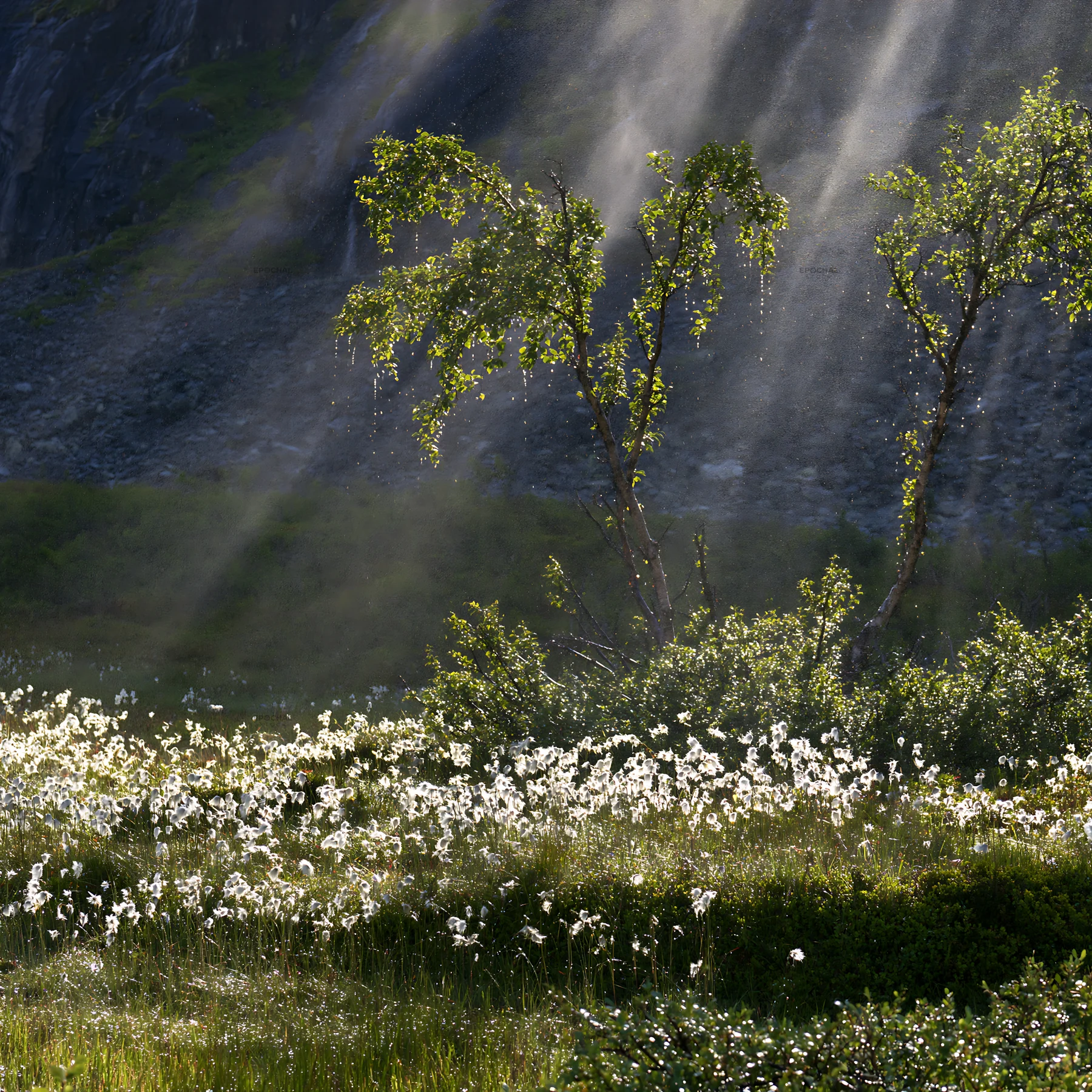 Jotunheimen valley meadow sunbeams create a bright scene - AI-generated stock image