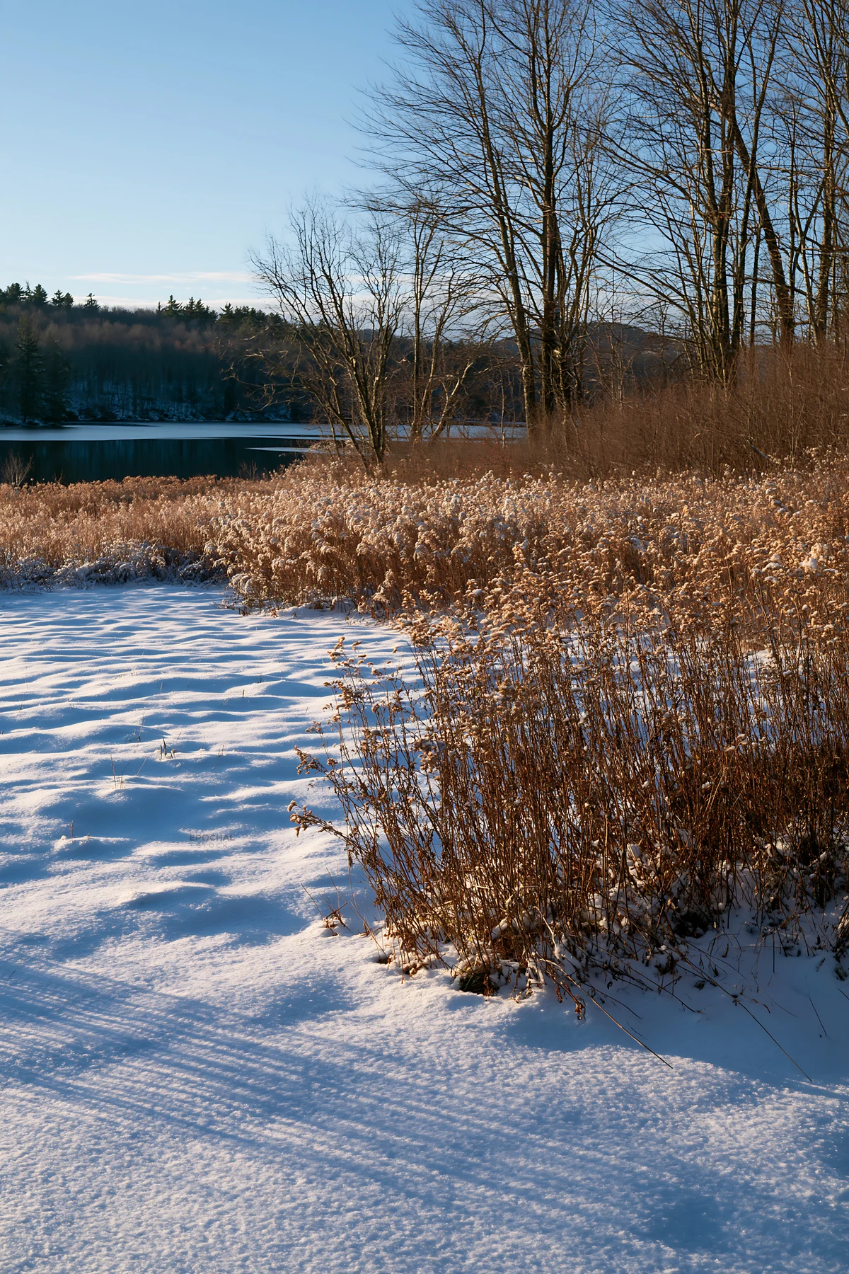 Lakeside meadow after first snowfall in winter - AI-generated stock image
