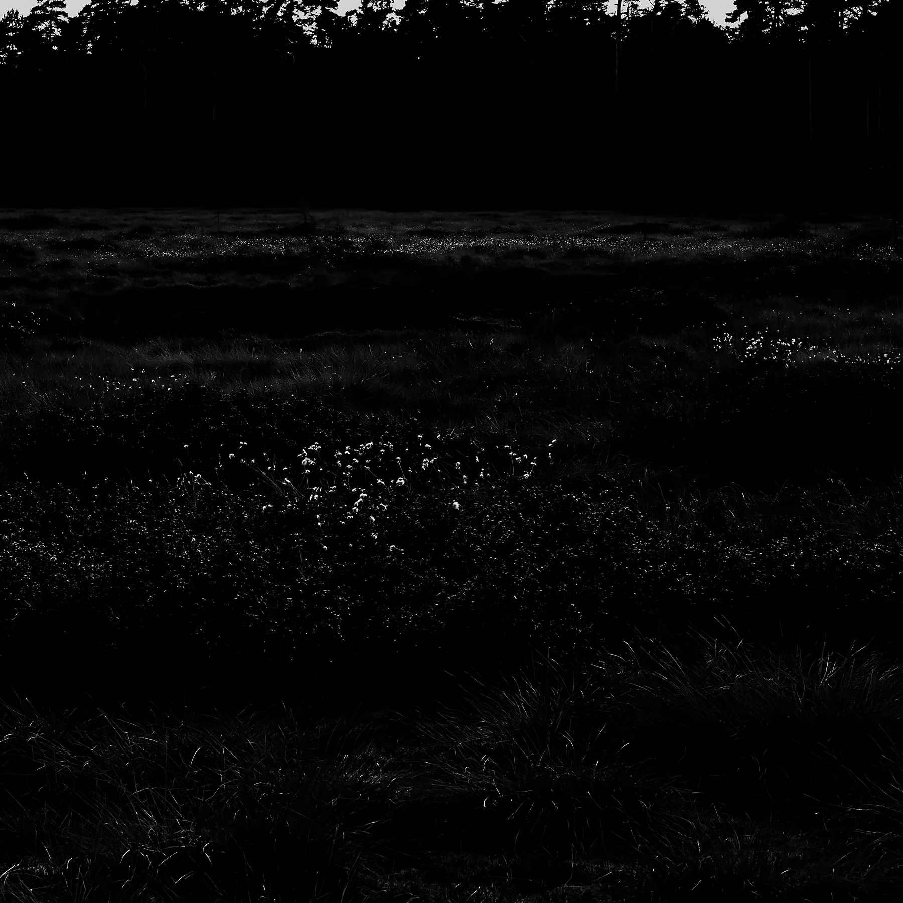 Moonlit meadow with flowers and trees at night - AI-generated stock image