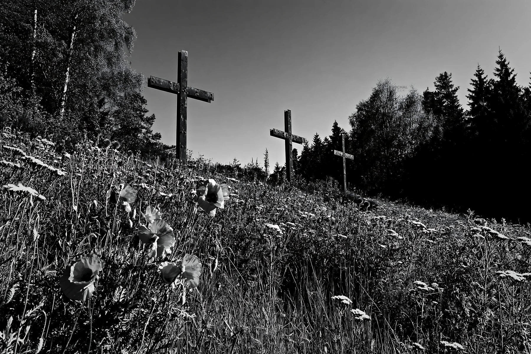 Three weathered crosses in a meadow with flowers - AI-generated stock image