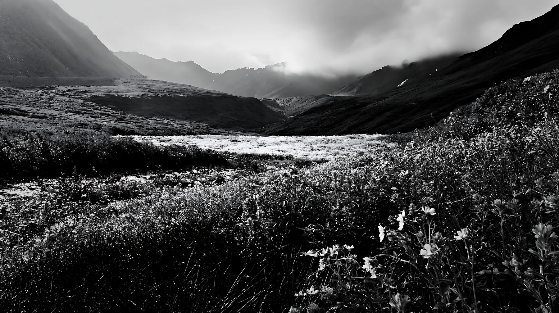 High contrast brook meadow with mountains in background - AI-generated stock image
