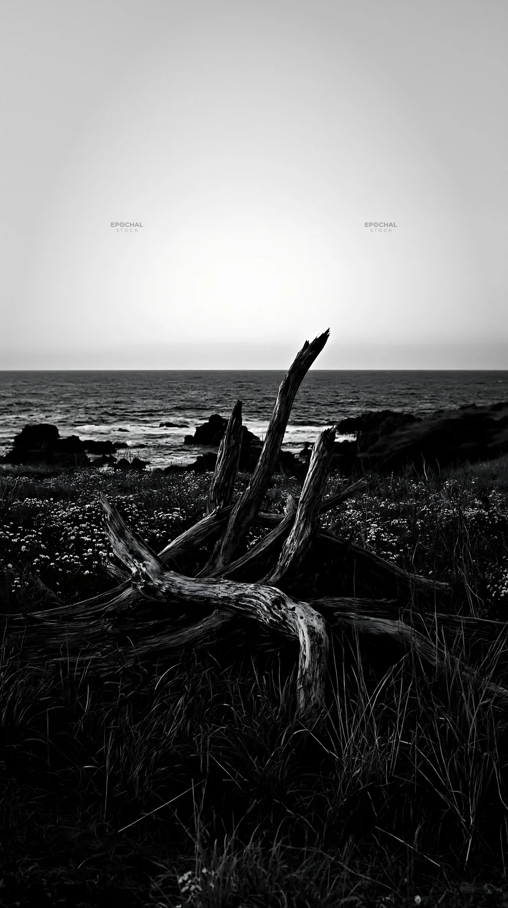 Nagasaki coastal meadow with driftwood and ocean view - AI-generated stock image