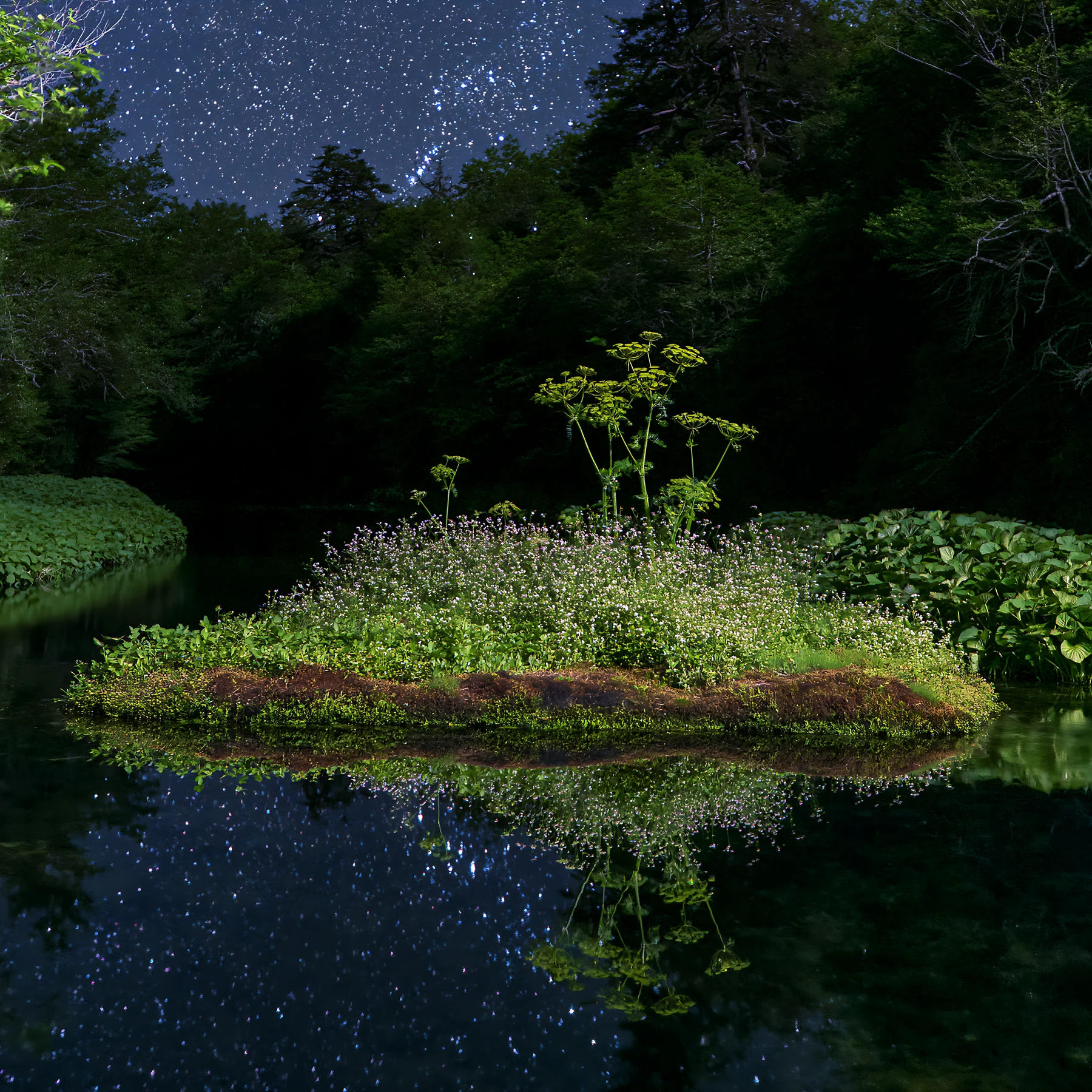 Starry sky over a meadow with flowers and water reflection - AI-generated stock image