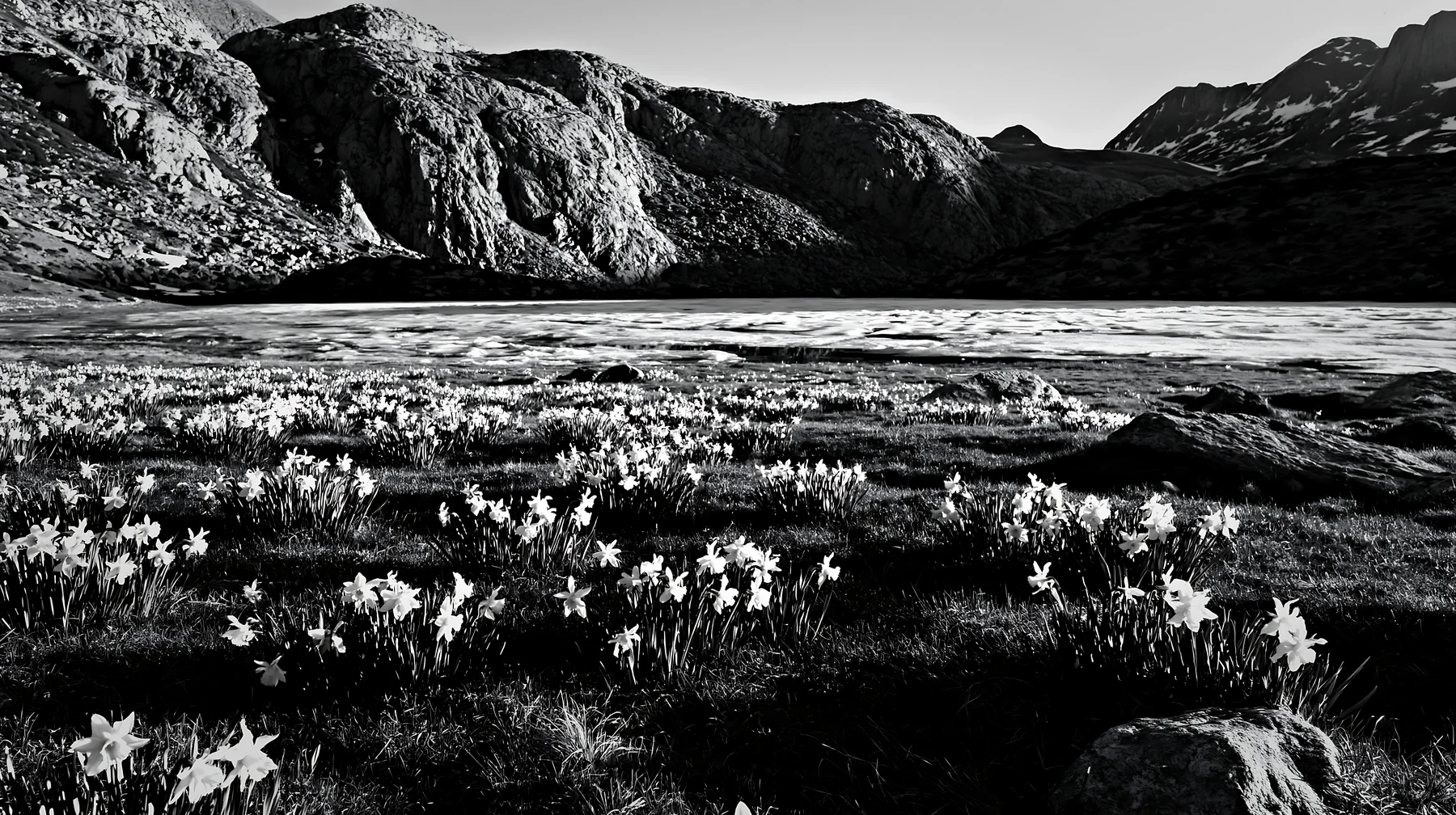 Frozen tarn meadow with flowers and mountains in background - AI-generated stock image