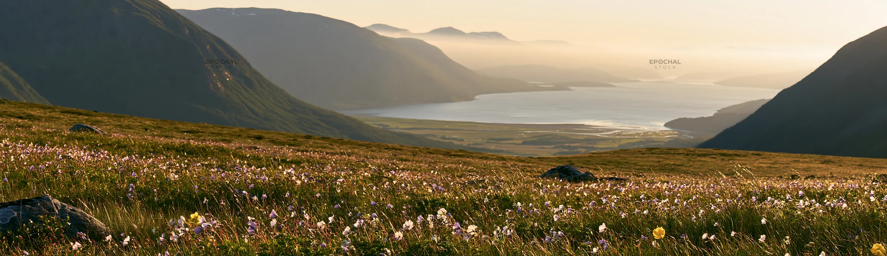 Meadow beneath crags with distant mountains and a wide river view - AI-generated stock image