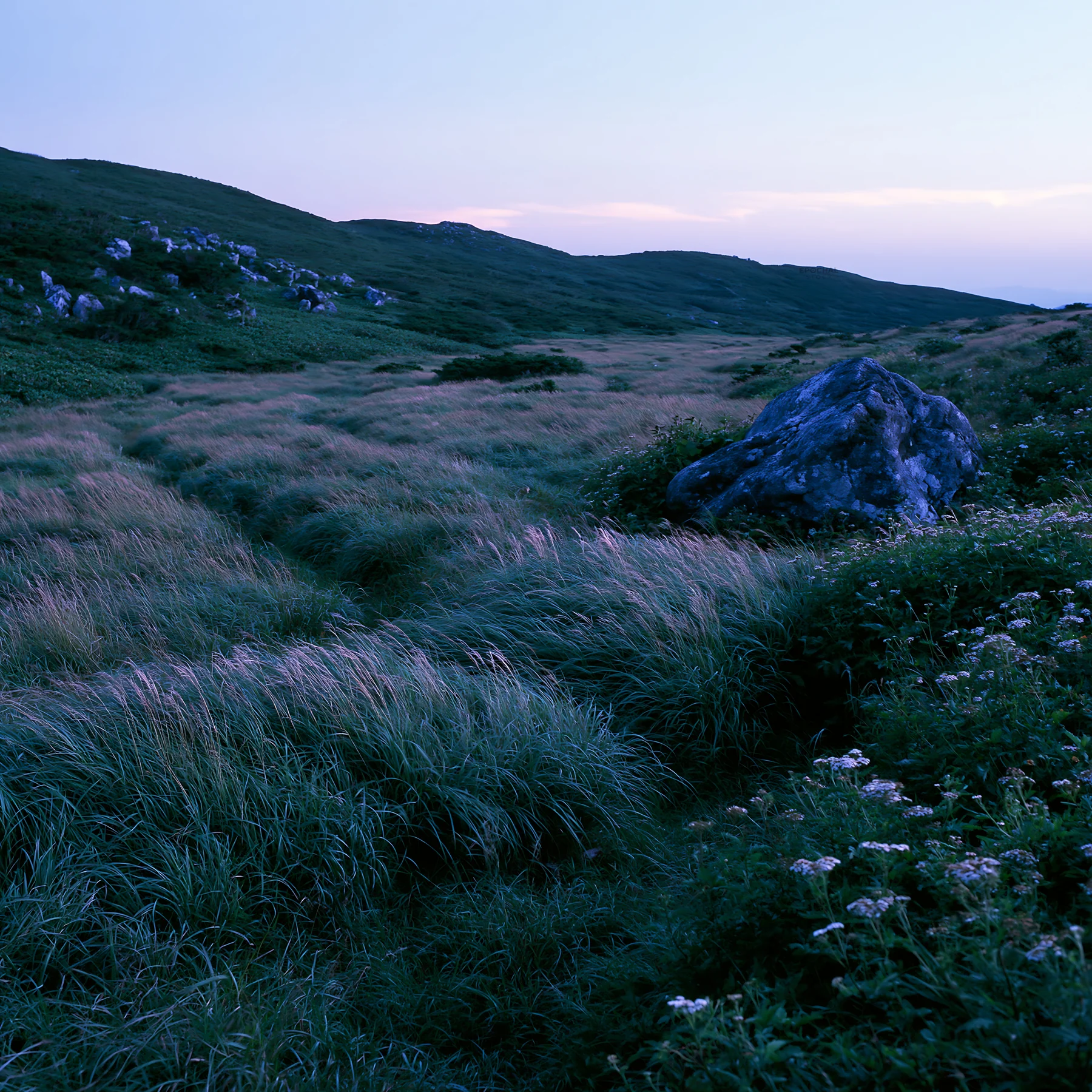 Aomori climate resilient meadow with boulder at dusk - AI-generated stock image