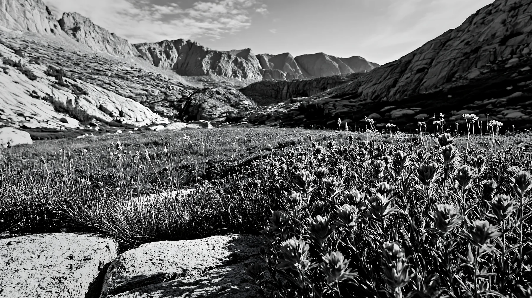 Mountain flower meadow with rocky hills and waterfalls - AI-generated stock image