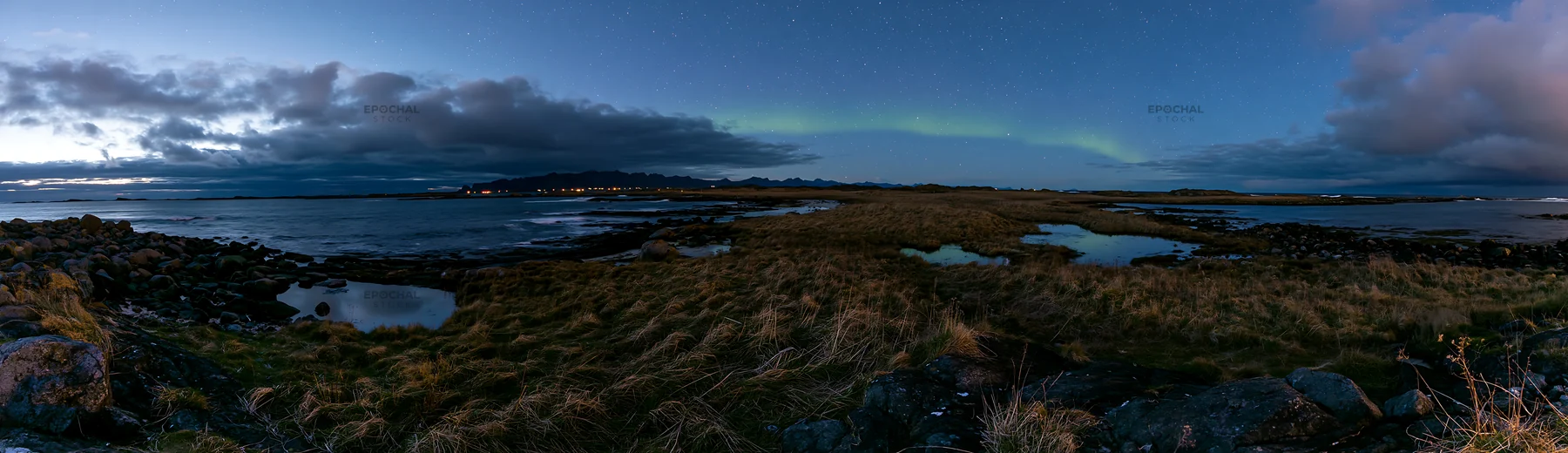 Aurora over meadow by the coast at night - AI-generated stock image